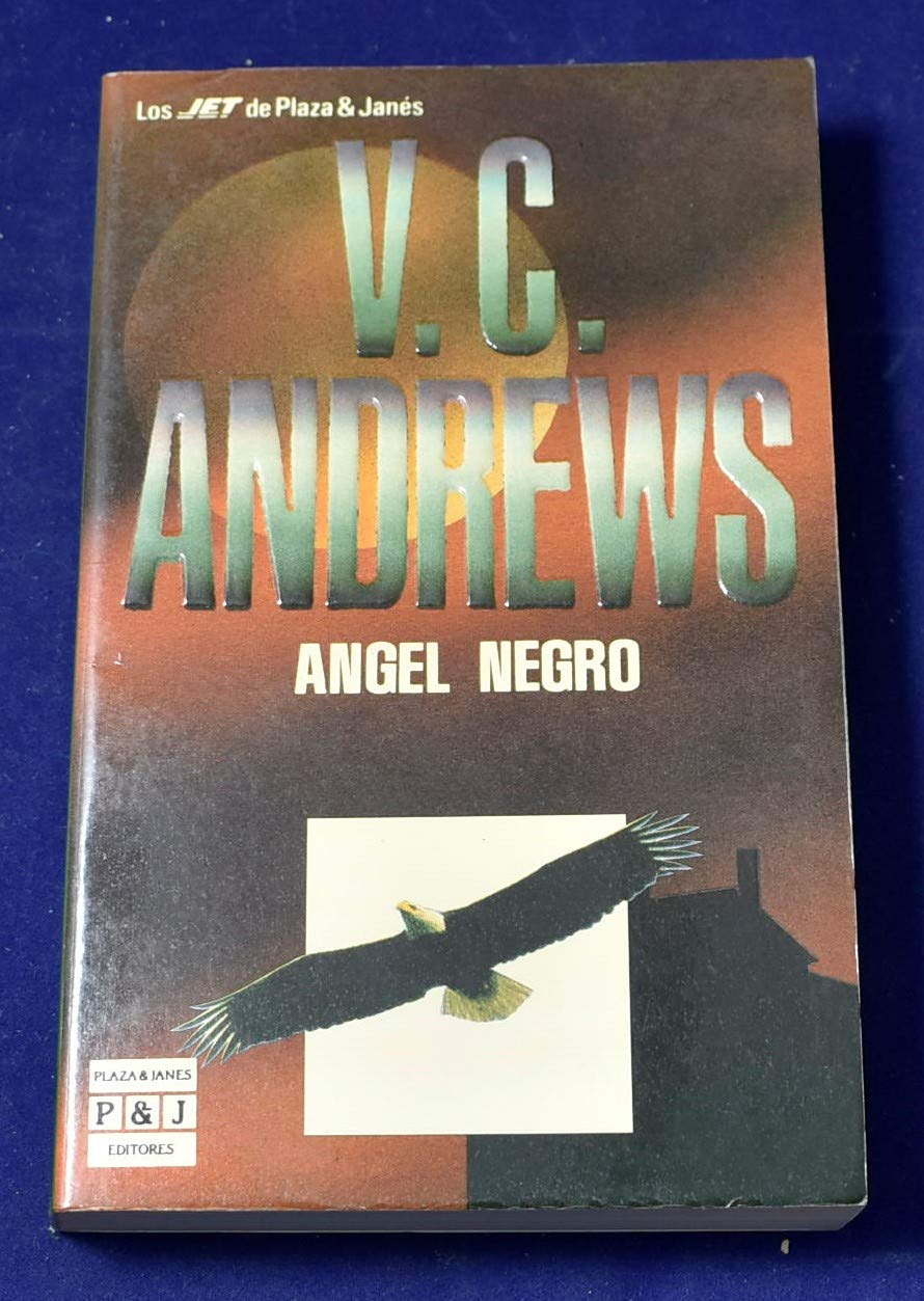 Ángel Negro/ Dark Angel (Casteel Series, Band 2) Books