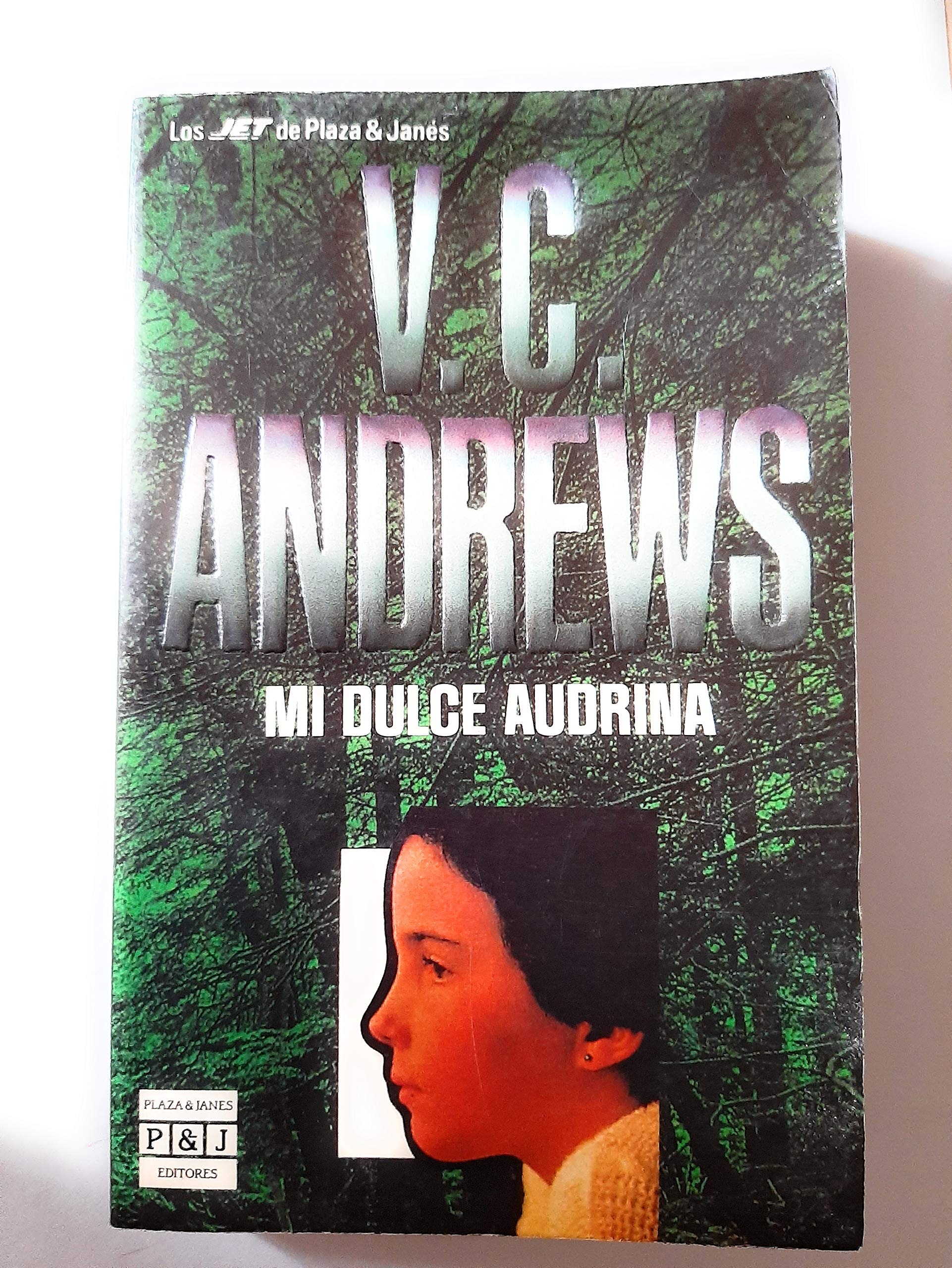 Mi Dulce Audrina / My Sweet Audrina book