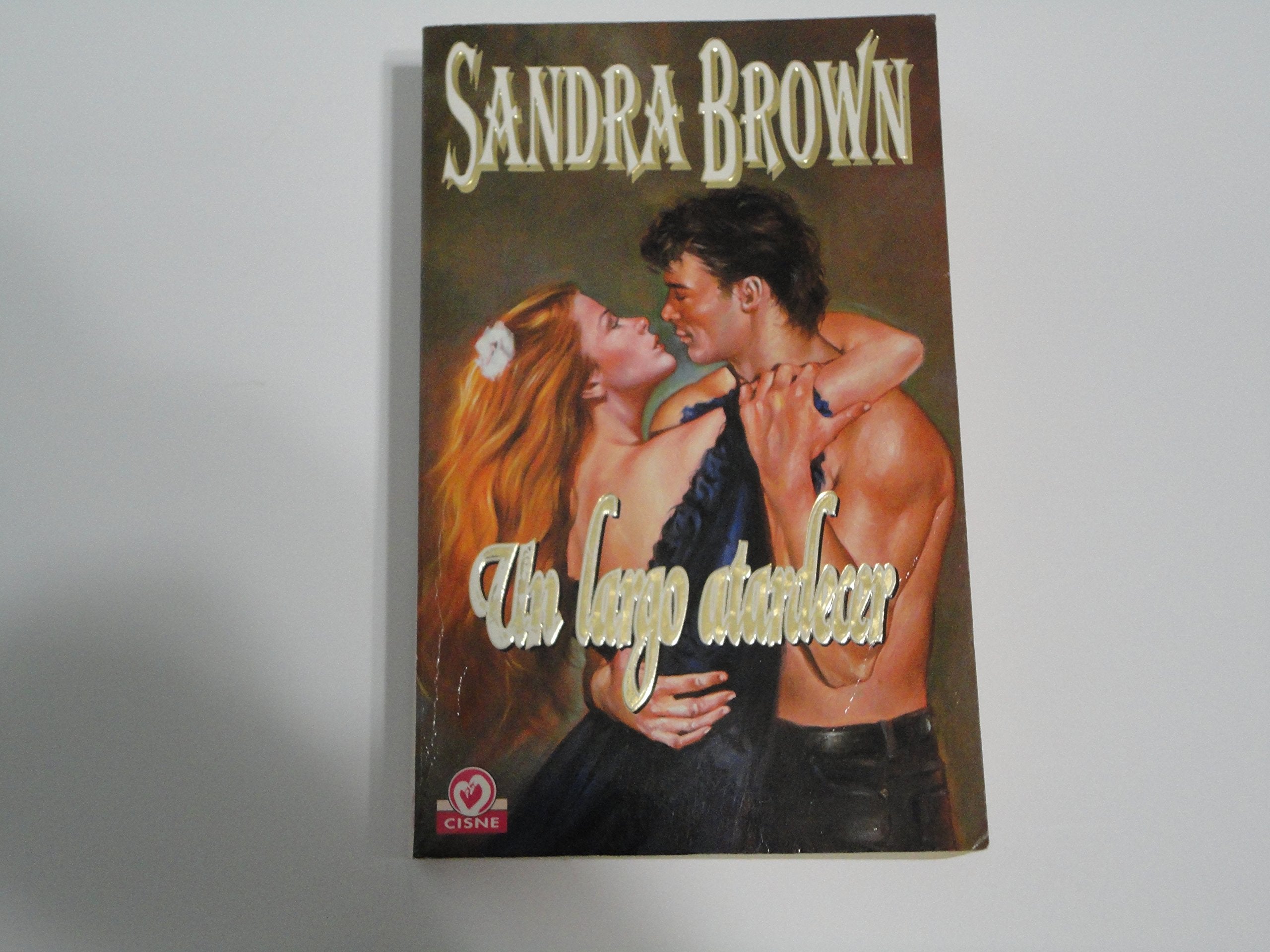 Un largo atardecer / Sunset Embrace (Saga de la Familia Coleman / Coleman Family Saga, 1, Band 1) Foreign Languages ​​& Dictionaries