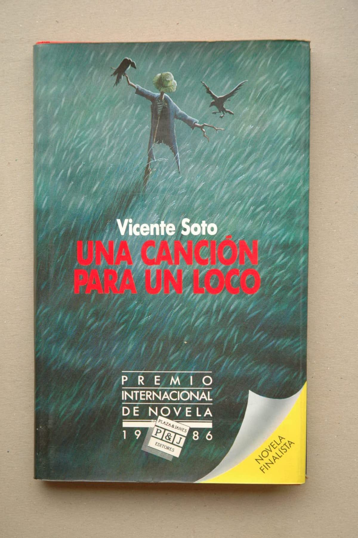 Una canción para un loco book