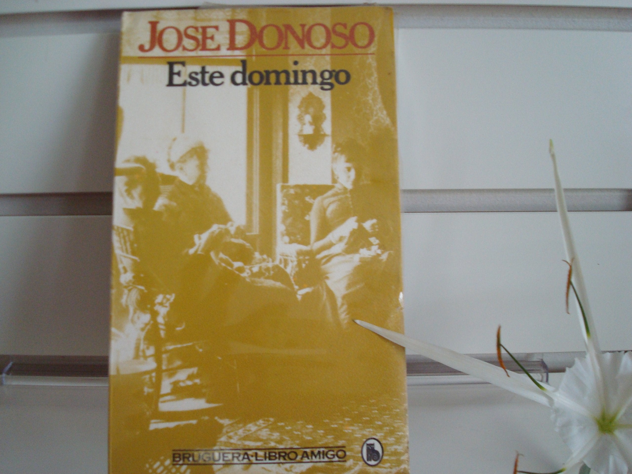 Product Image: Este domingo
