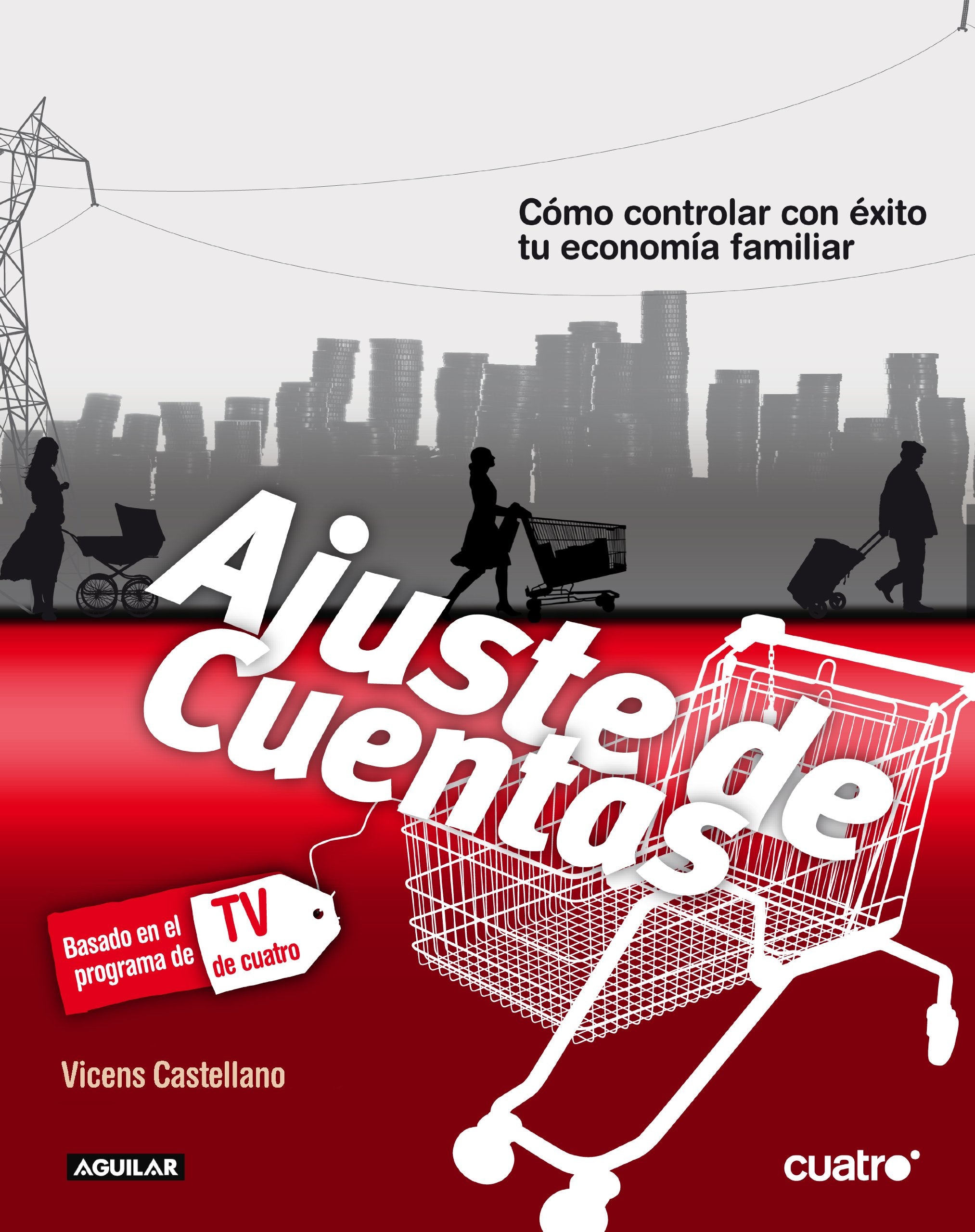 Ajuste de cuentas: Cómo controlar con éxito tu economía familiar book