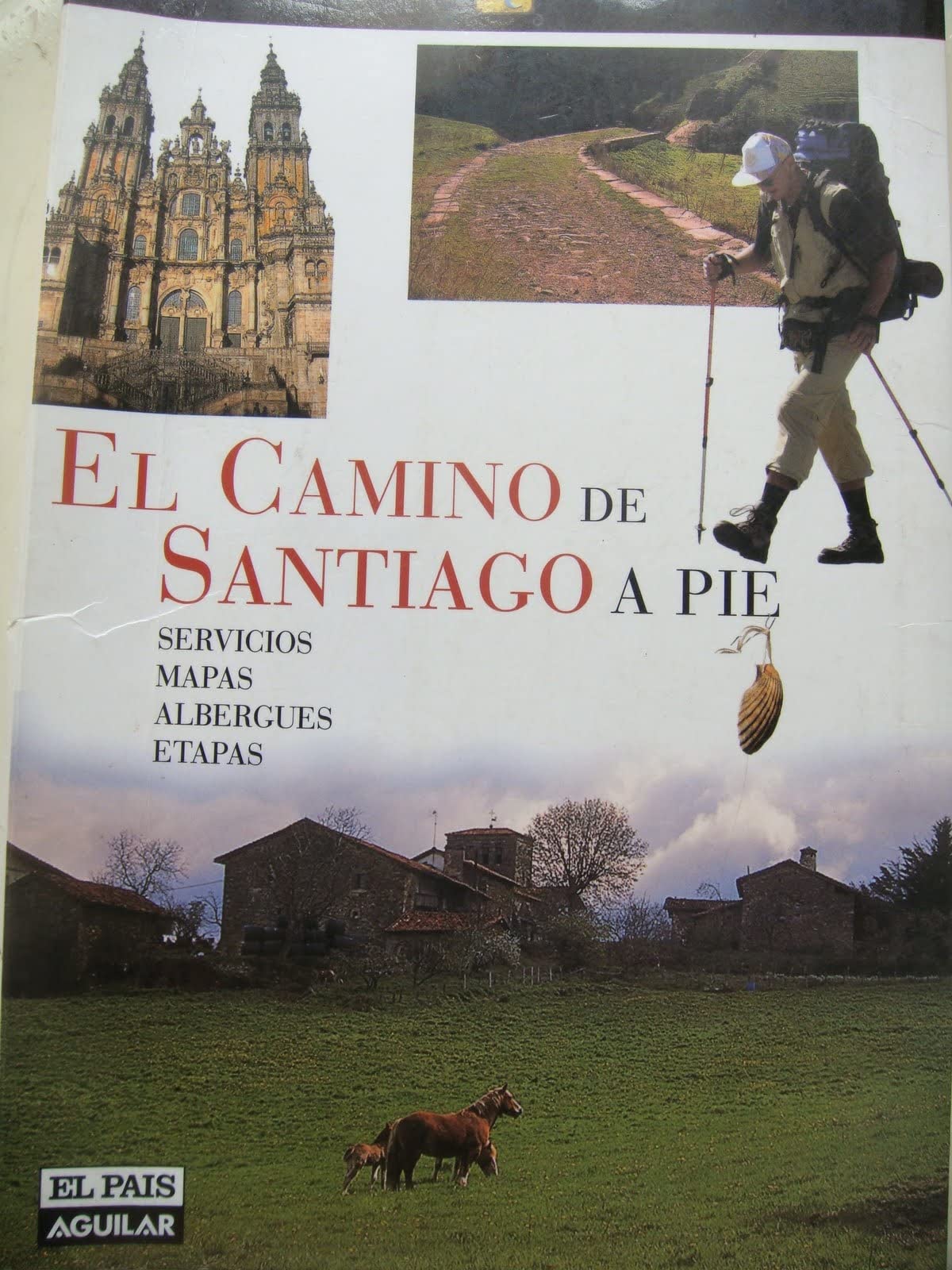Camino de Santiago a pie, el Books