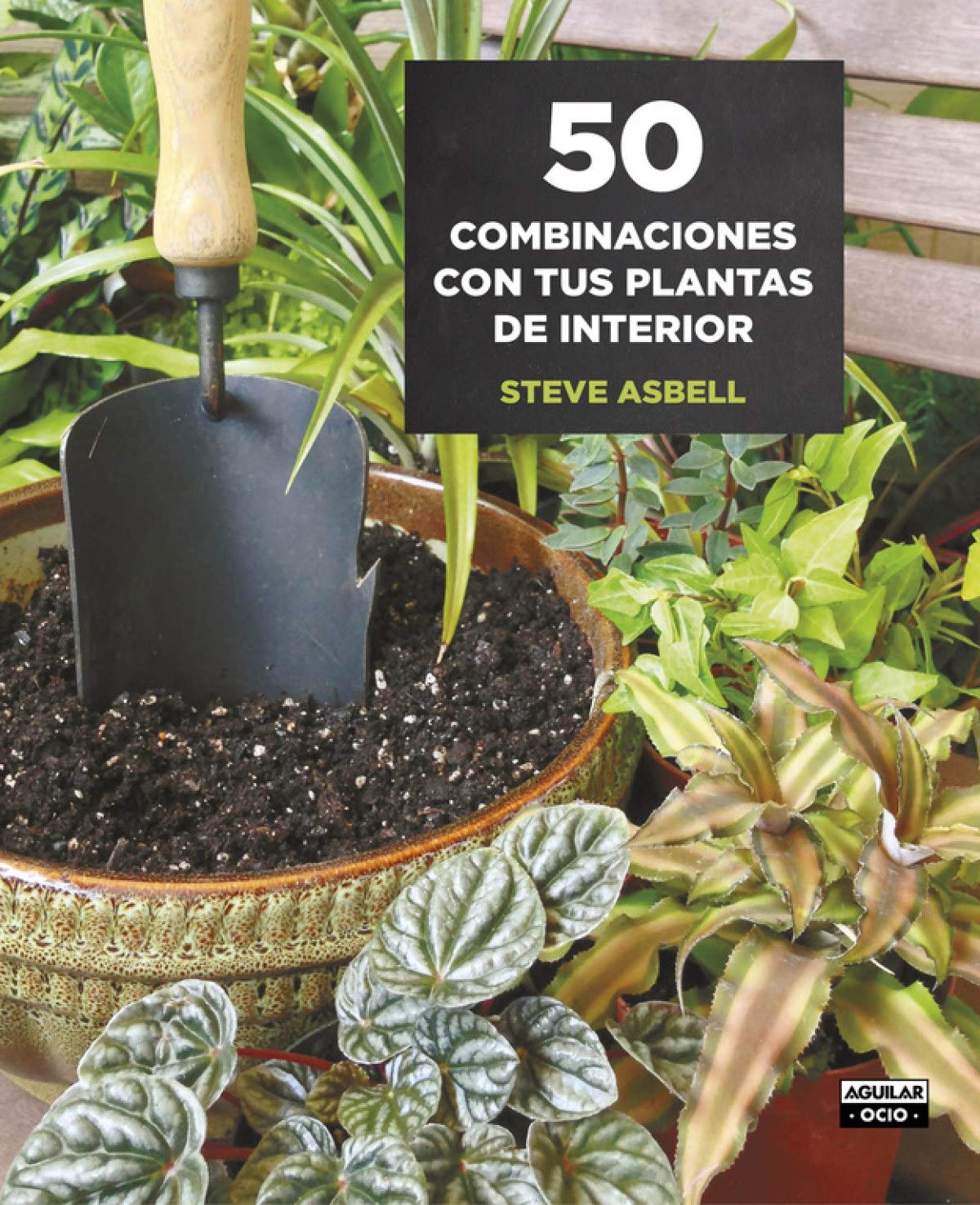 50 combinaciones con tus plantas de interior (Ocio y tiempo libre) Hobbies & Crafts