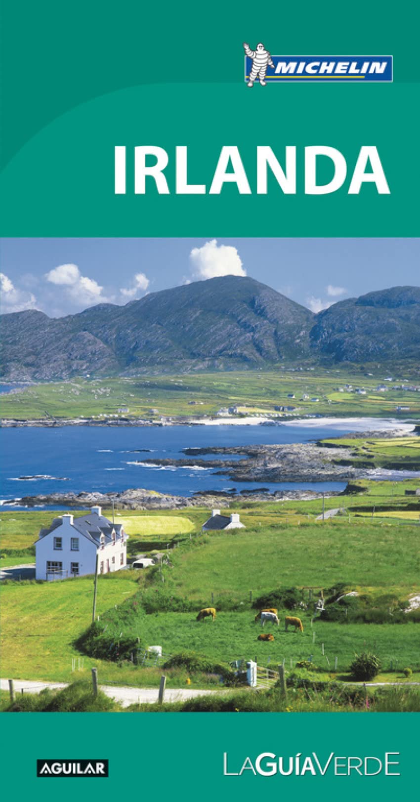 Irlanda (La Guía verde) book