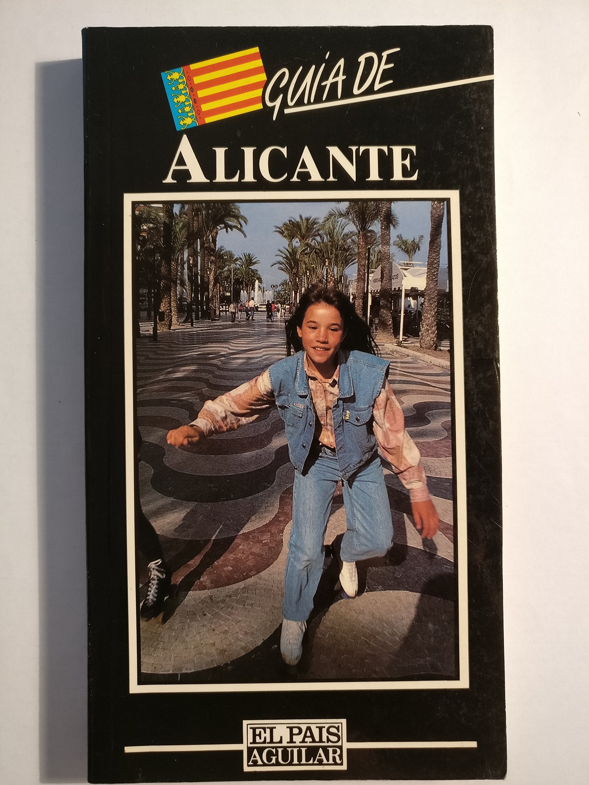 Guia de Alicante book