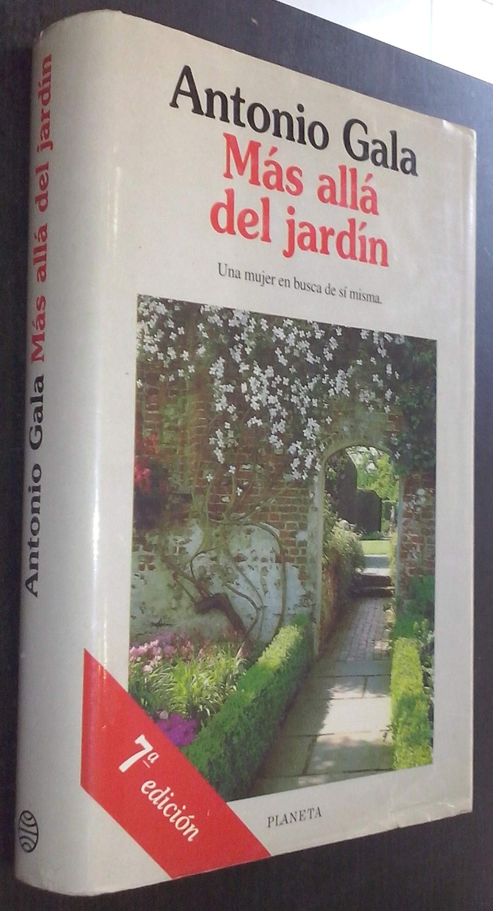 Mas Alla Del Jardin Essays & Short Stories