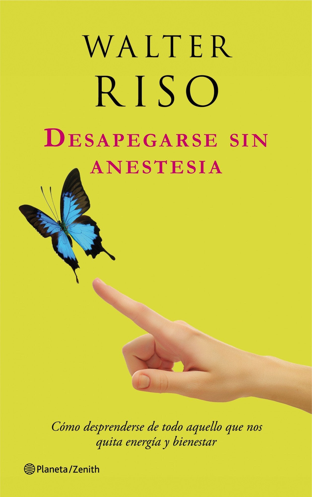 Desapegarse sin anestesia: Cómo desprenderse de todo aquello que nos quita energía y bienestar (Biblioteca Walter Riso, Band 1) Books