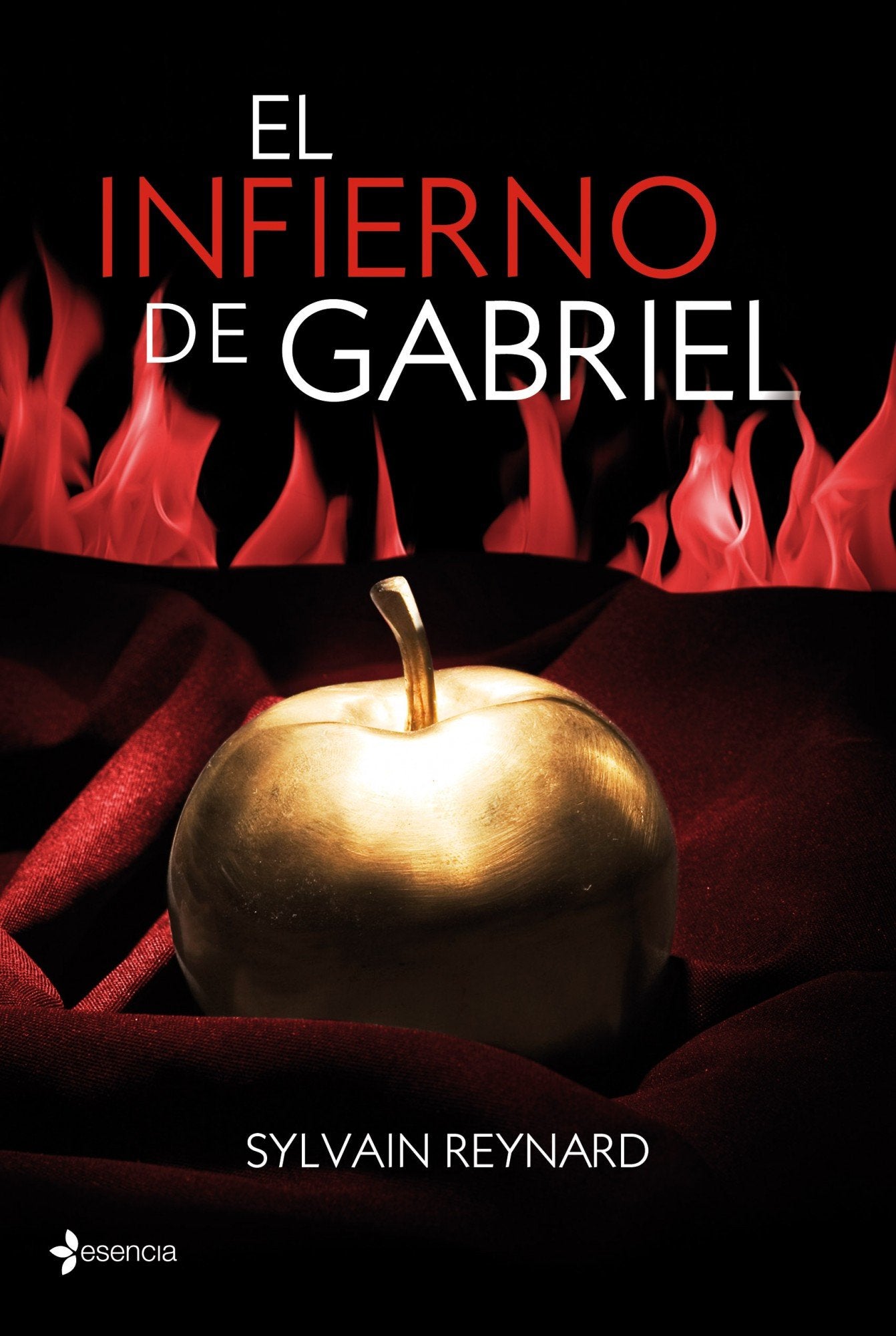 El infierno de Gabriel (Erótica, Band 1) Contemporary literature