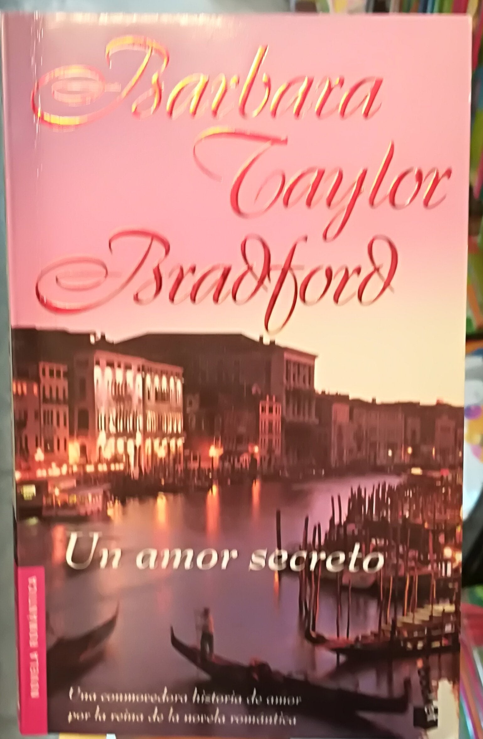 Un Amor Secreto / A Secret Affair book