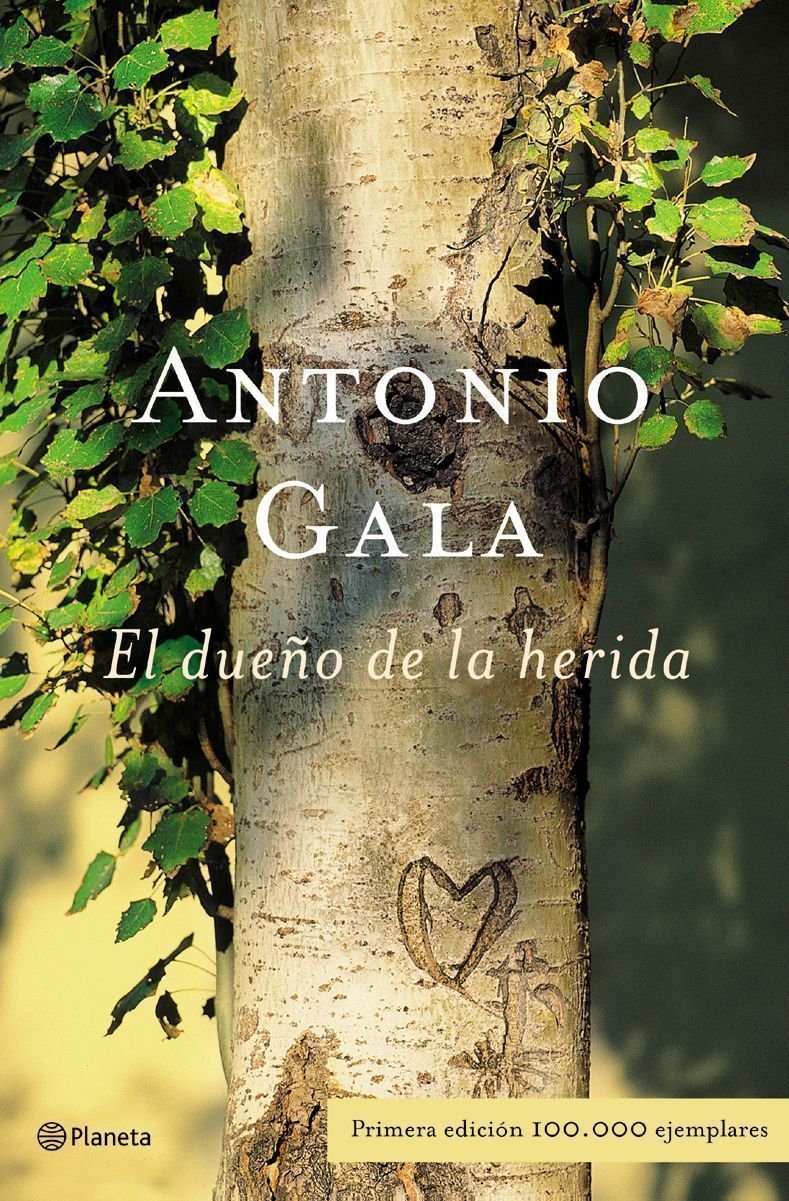 El dueño de la herida (Autores Españoles e Iberoamericanos) Contemporary literature