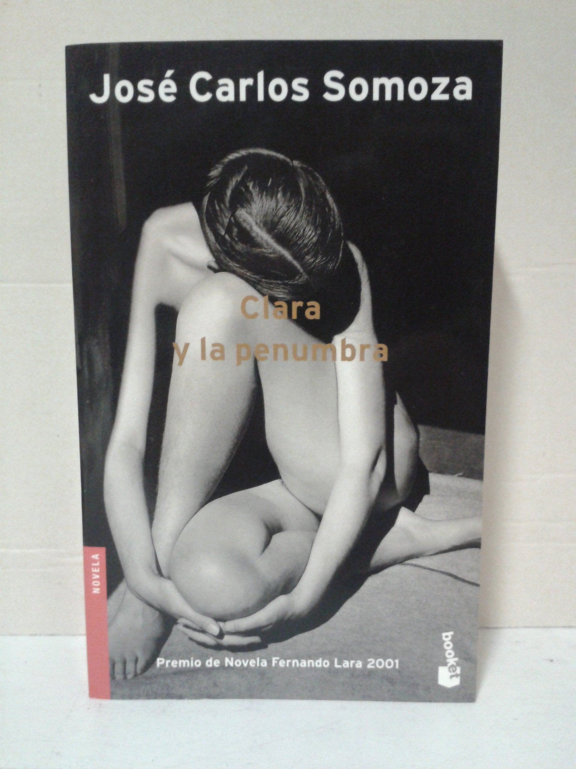 Clara y la penumbra ("booket") book