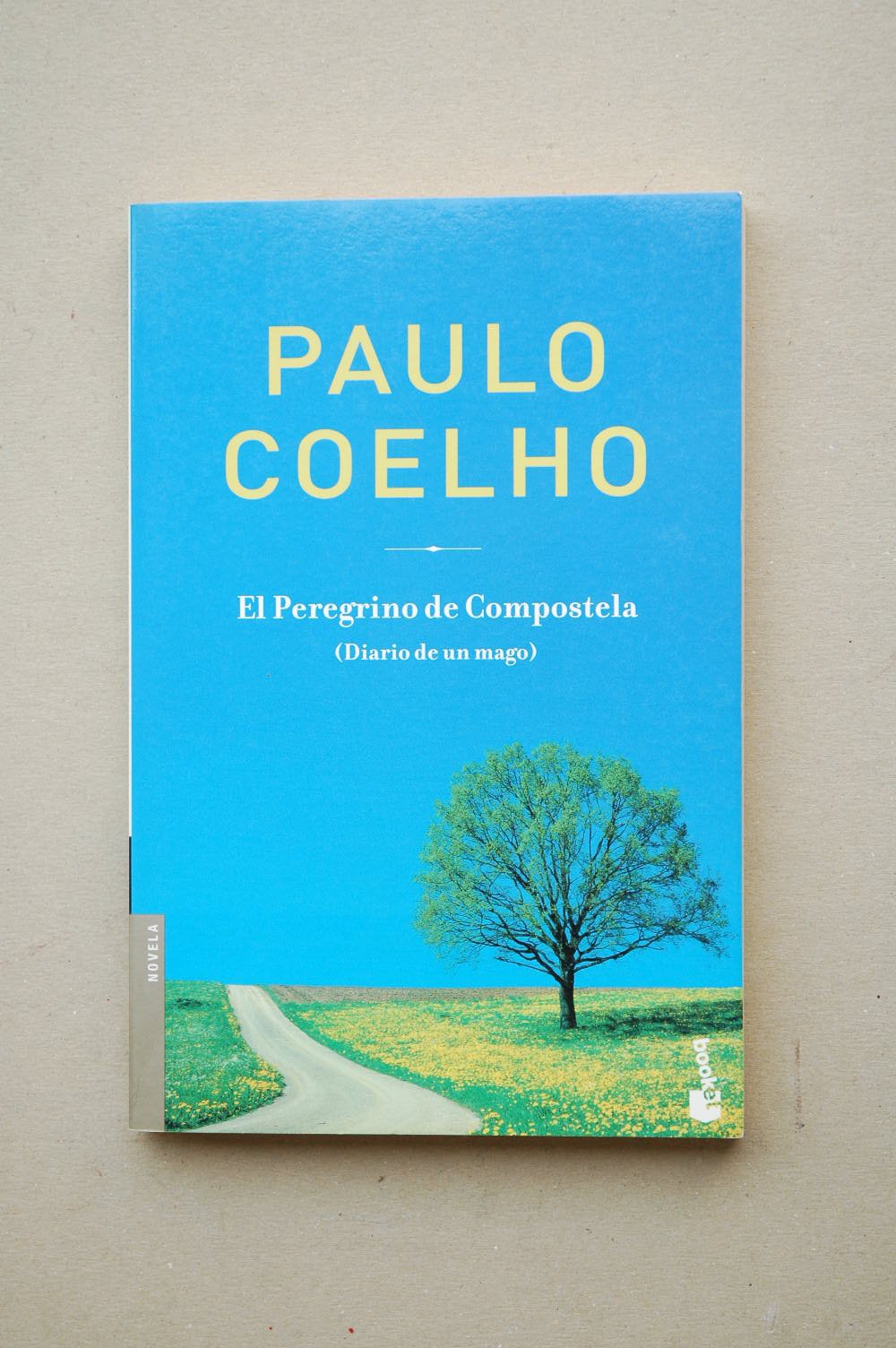 EL Peregrino De Compostela Contemporary literature