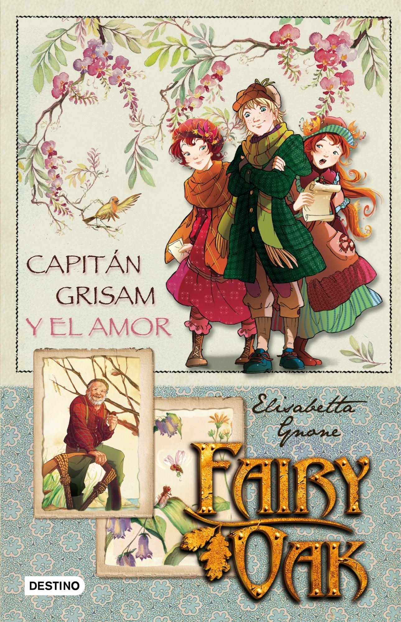 Fairy Oak. Capitán Grisam y el amor book