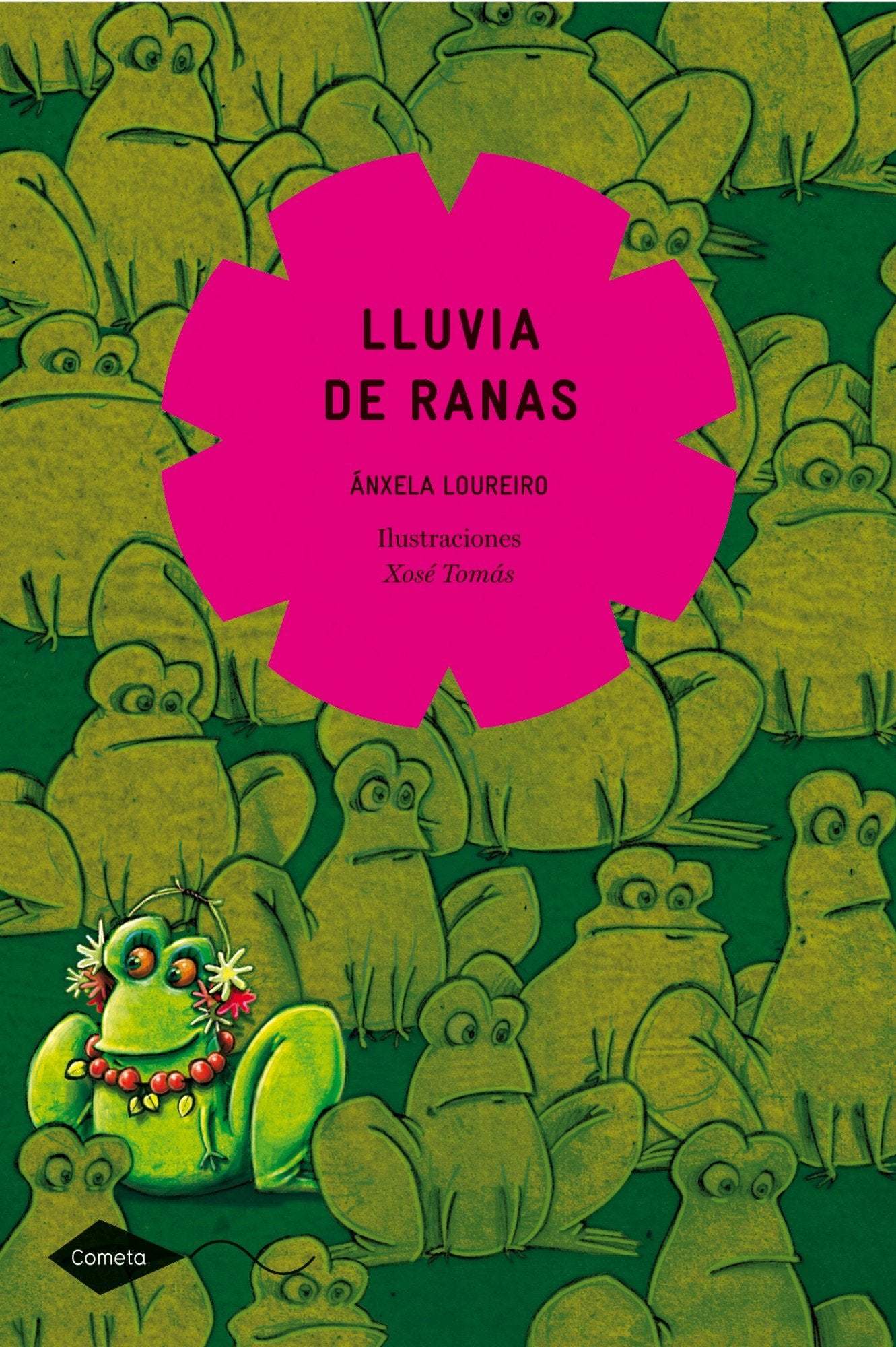 Lluvia de ranas book