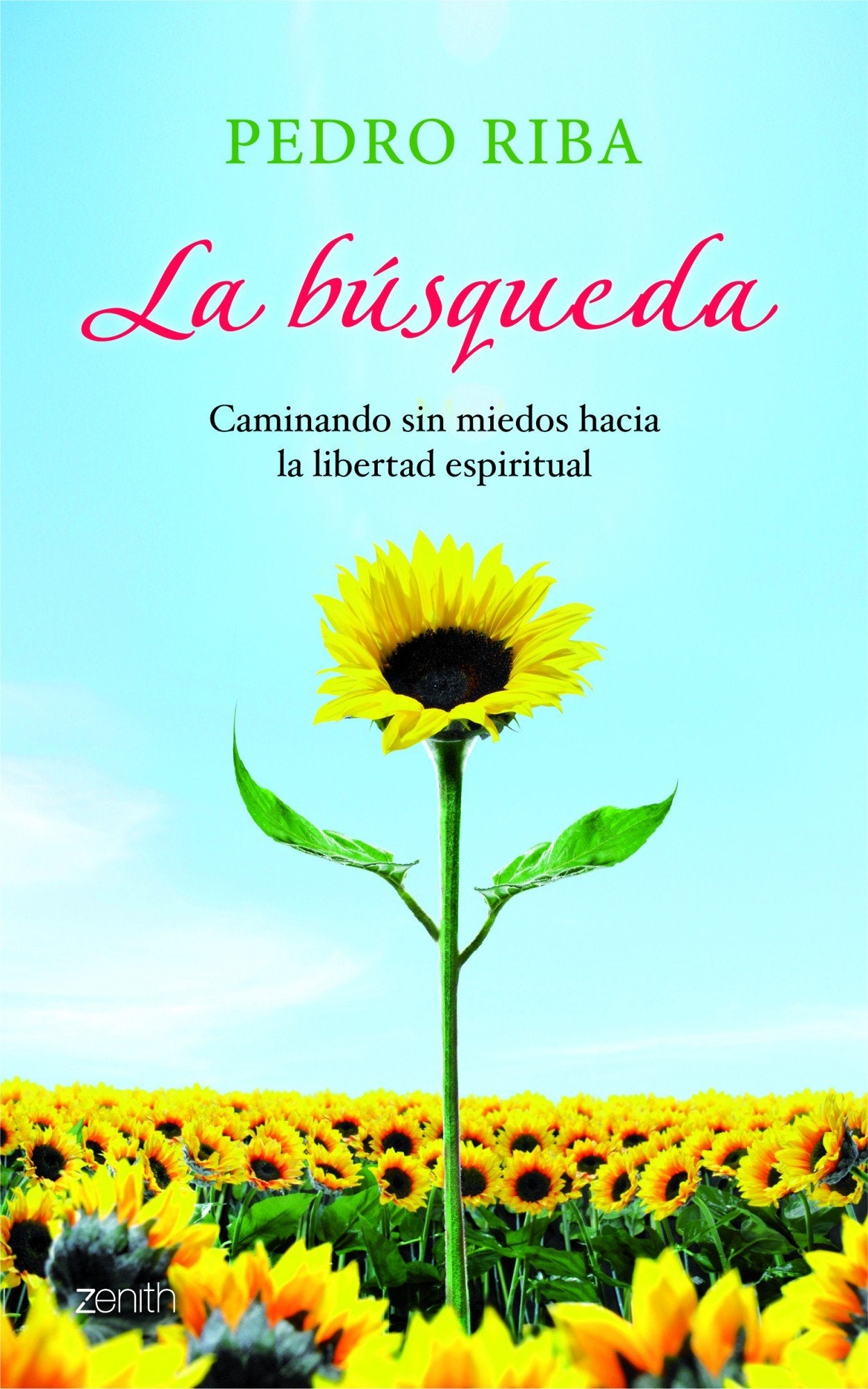 La búsqueda: Caminando sin miedos hacia la libertad espiritual book