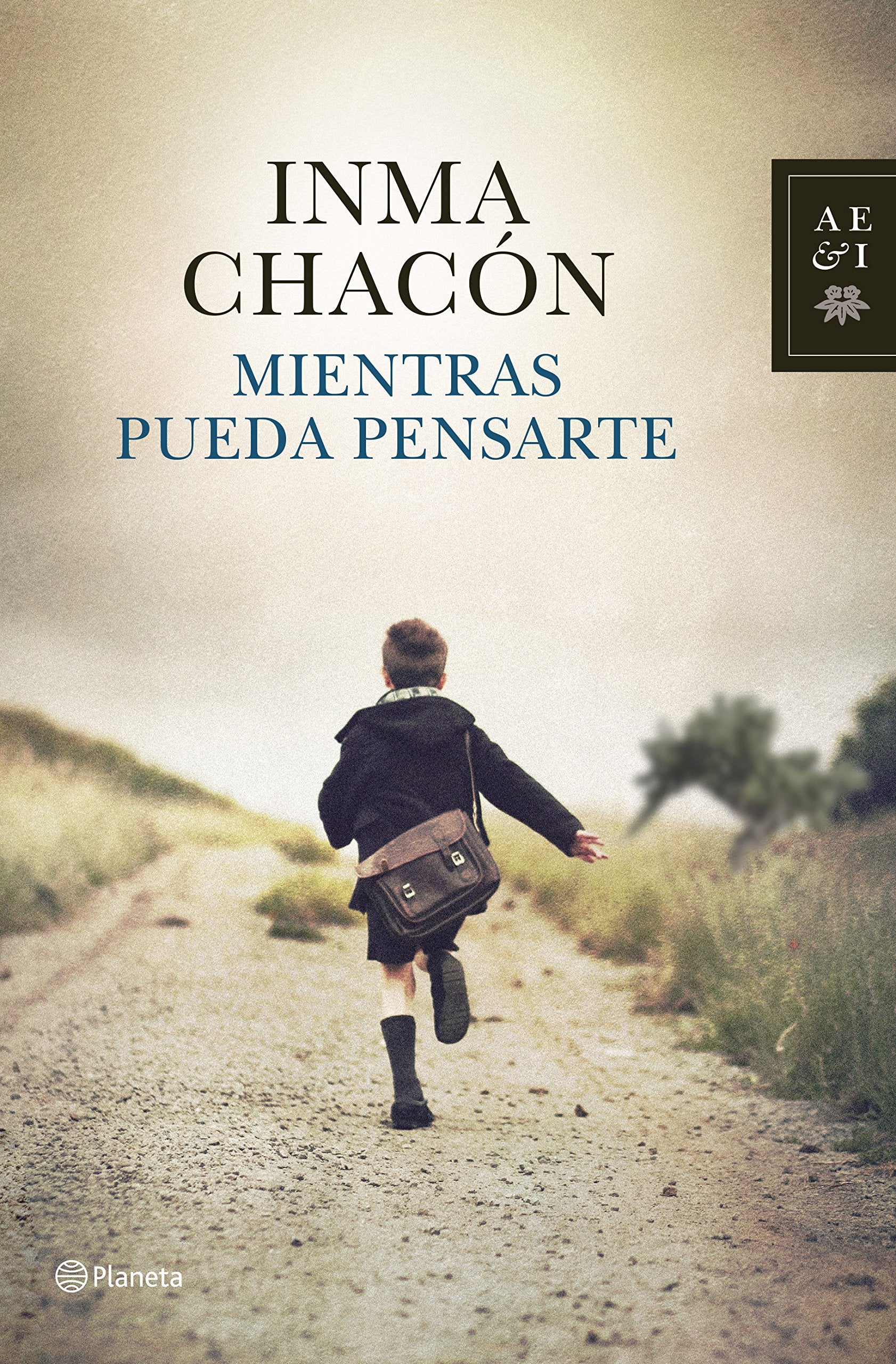 Mientras pueda pensarte Contemporary literature