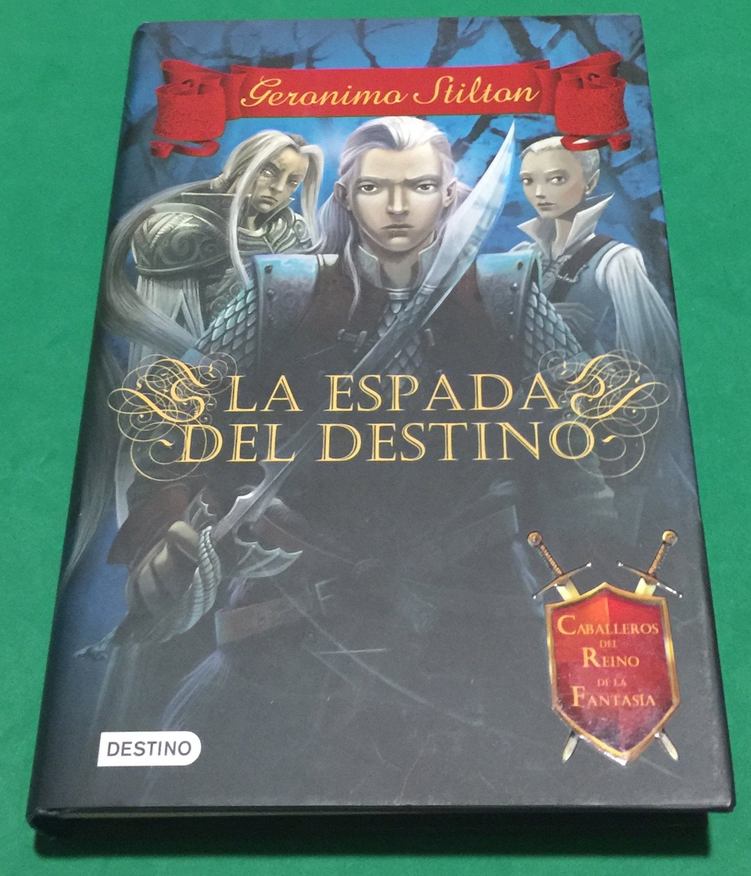 La espada del destino: Caballeros del Reino de la Fantasía 2 book