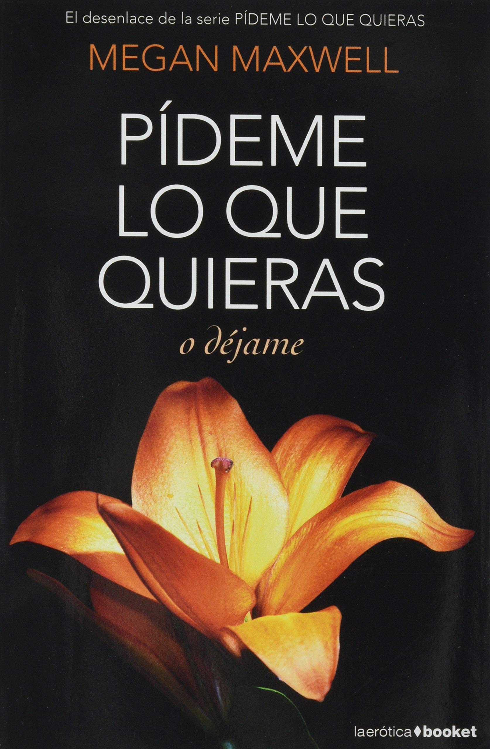 Pideme lo que quieras o déjame: SERIE PIDEME LO QUE QUIERAS 3 (Biblioteca Megan Maxwell, Band 3) Contemporary literature