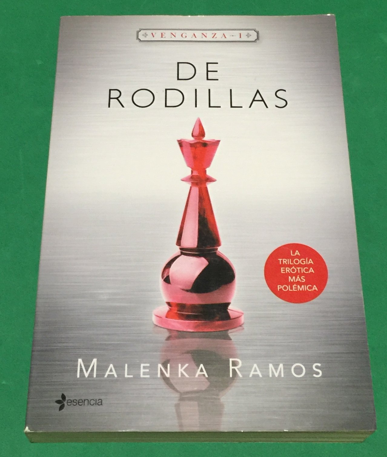Venganza 1. De rodillas (Erótica, Band 1) Contemporary literature