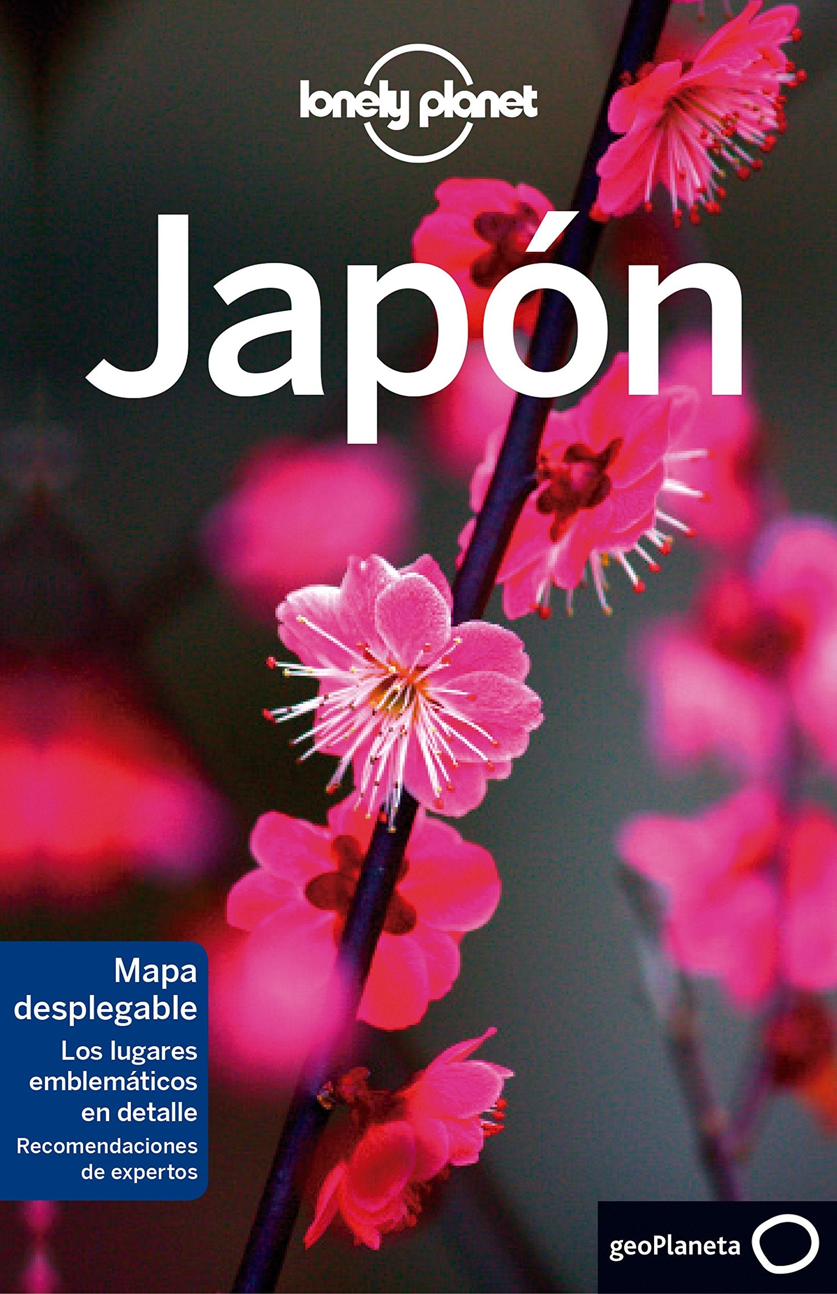 Lonely Planet Japon (Guías de País Lonely Planet) Manga