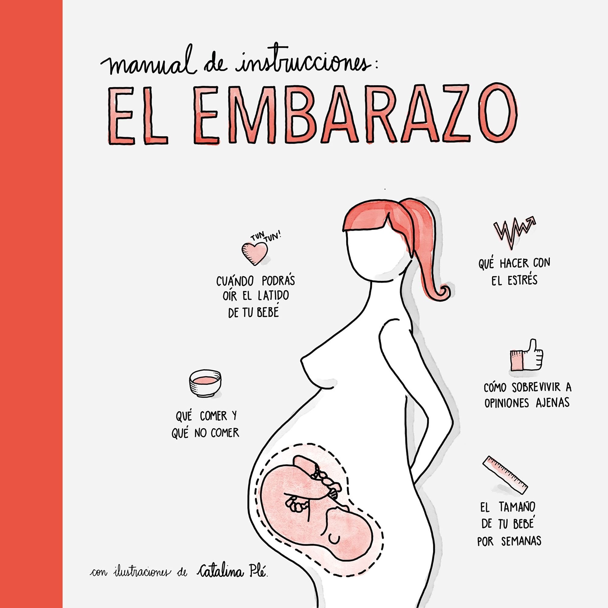 Manual de instrucciones: el embarazo: Con ilustraciones de Catalina Plé book
