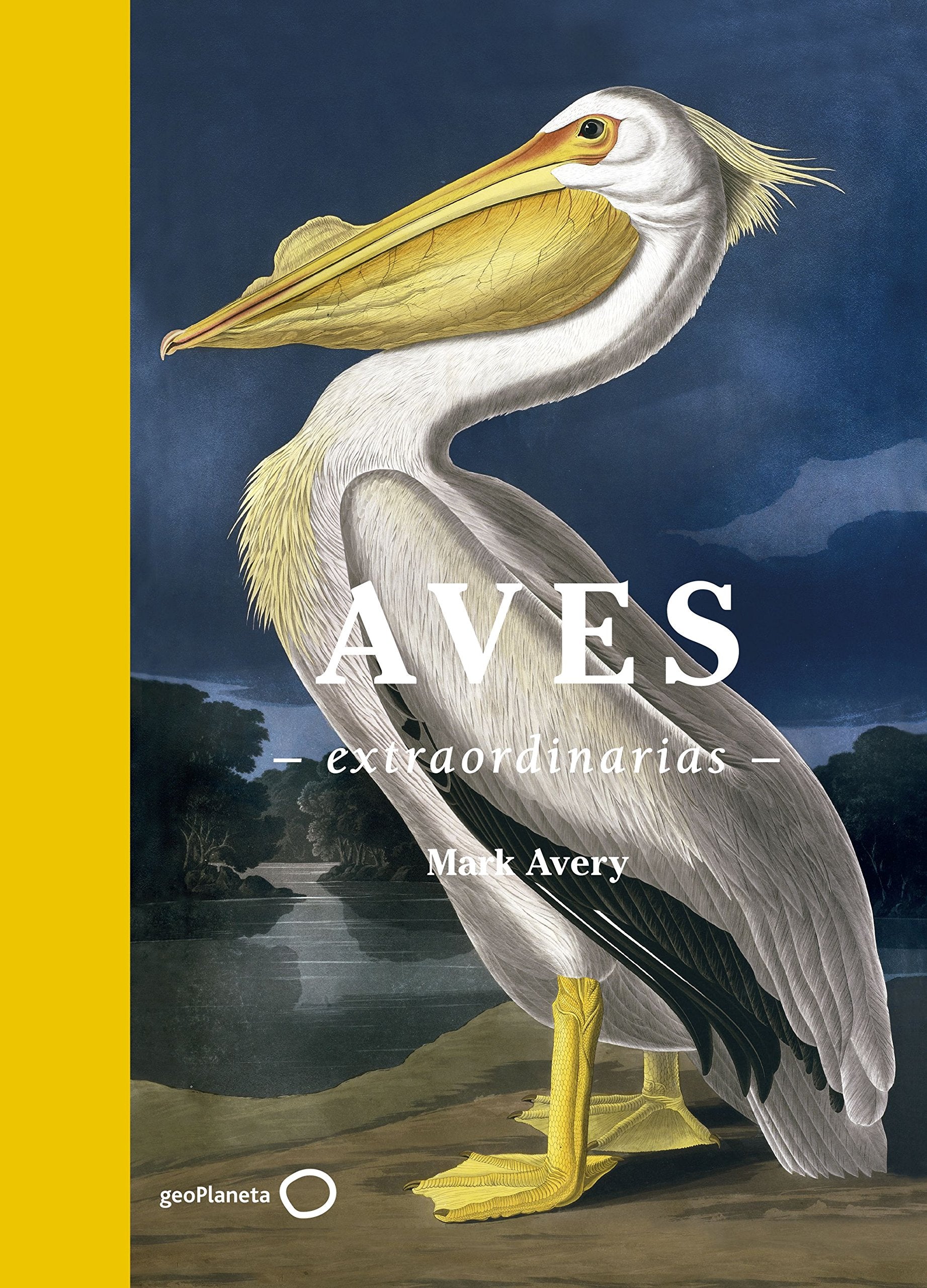 Aves extraordinarias (Ilustrados) Leisure, Home & Garden