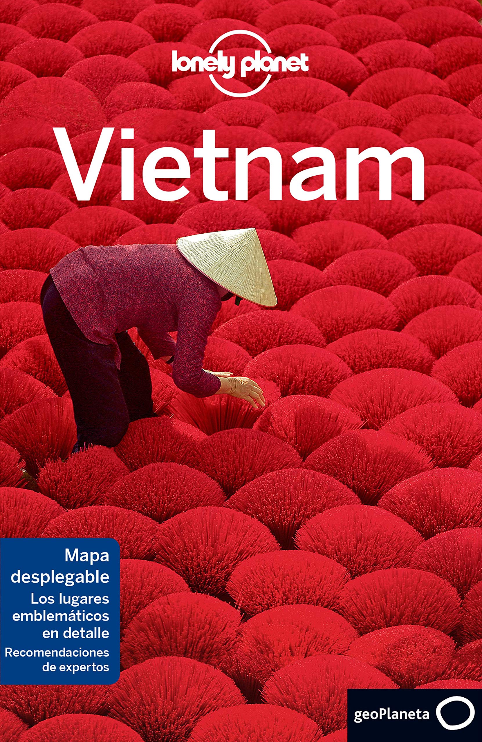 Lonely Planet Vietnam (Guías de País Lonely Planet) Leisure, Home & Garden