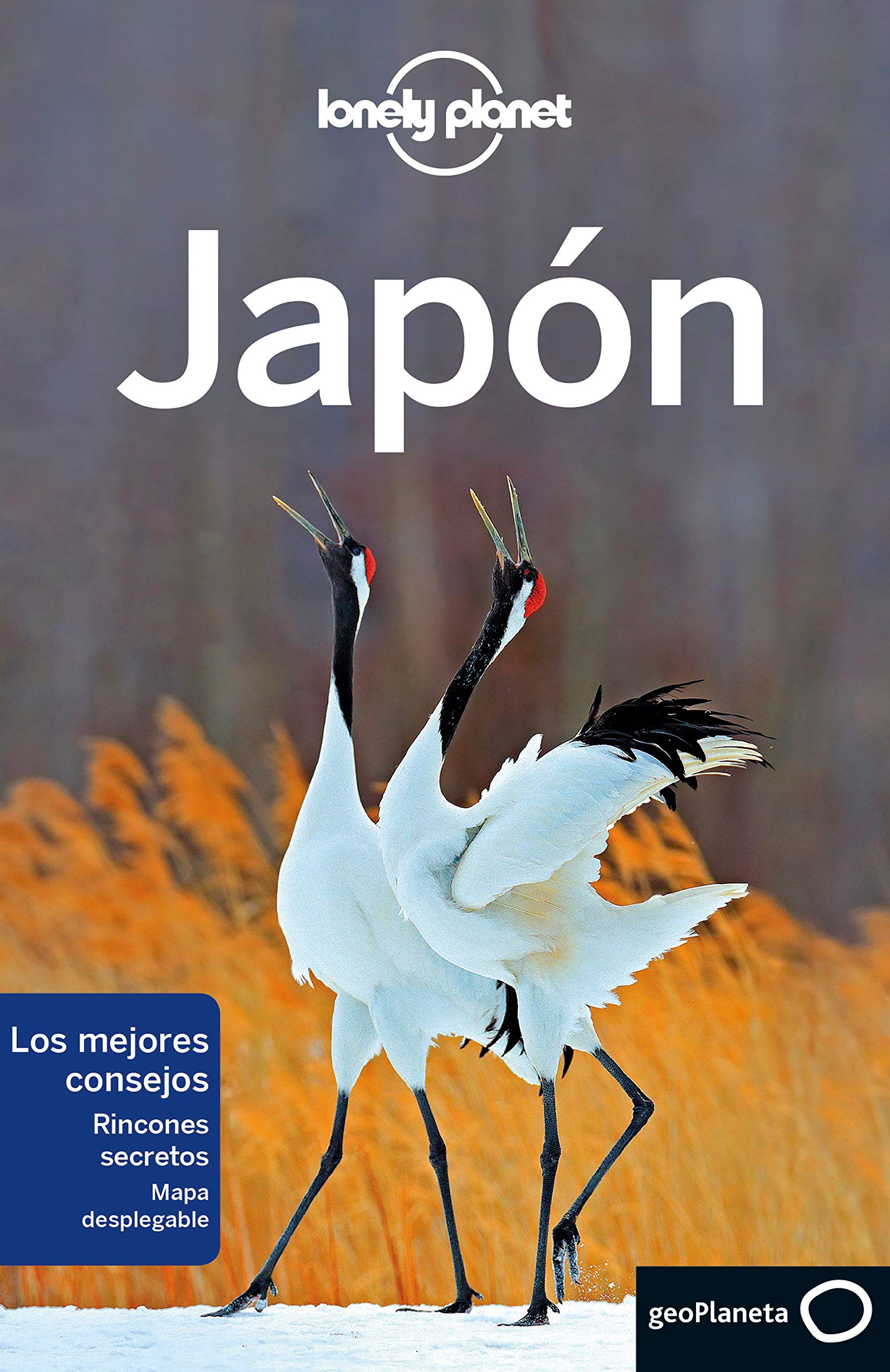 Japón 7 (Guías de País Lonely Planet) Leisure, Home & Garden
