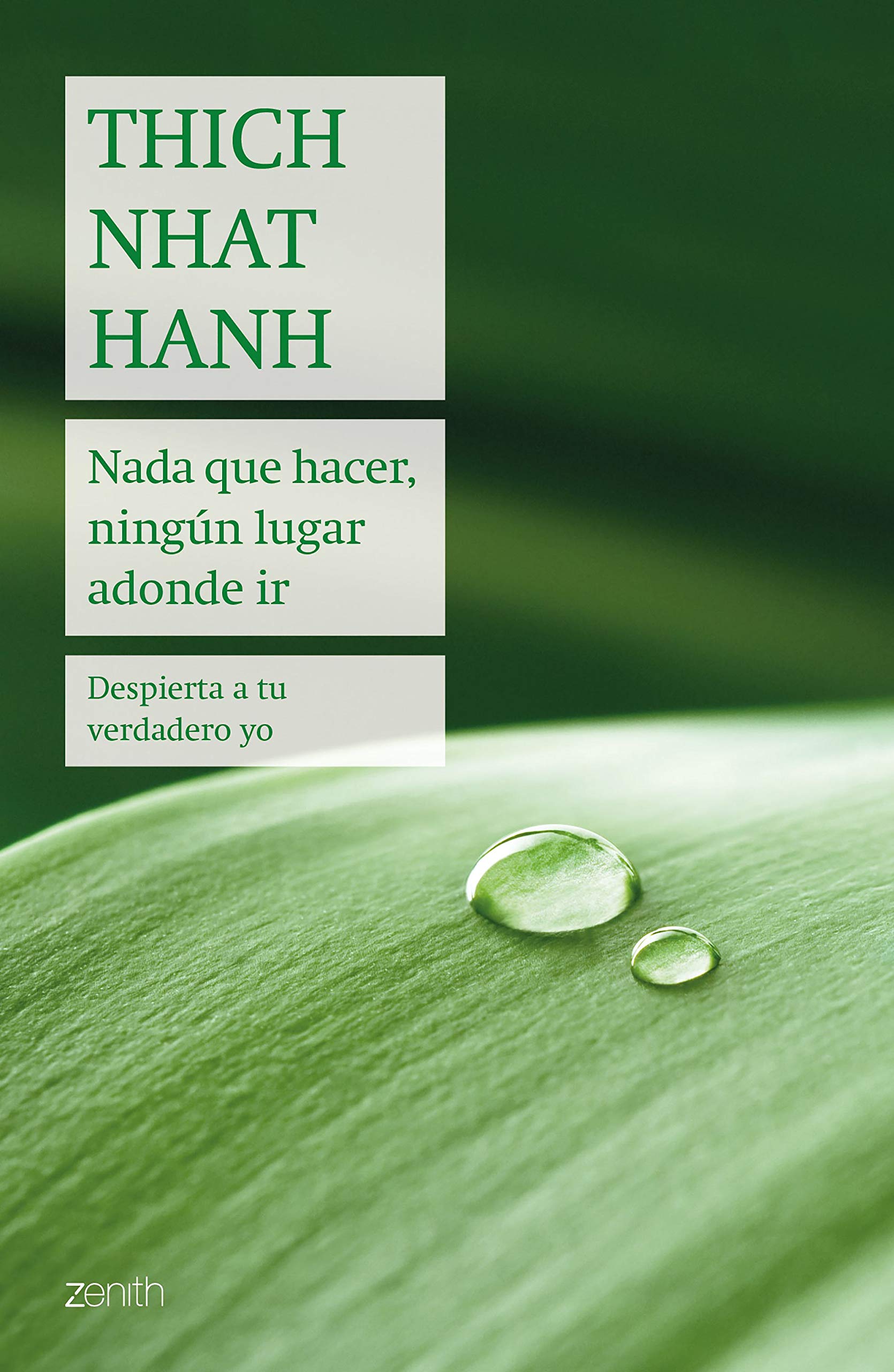 Nada que hacer, ningún lugar adonde ir: Despierta a tu yo verdadero book