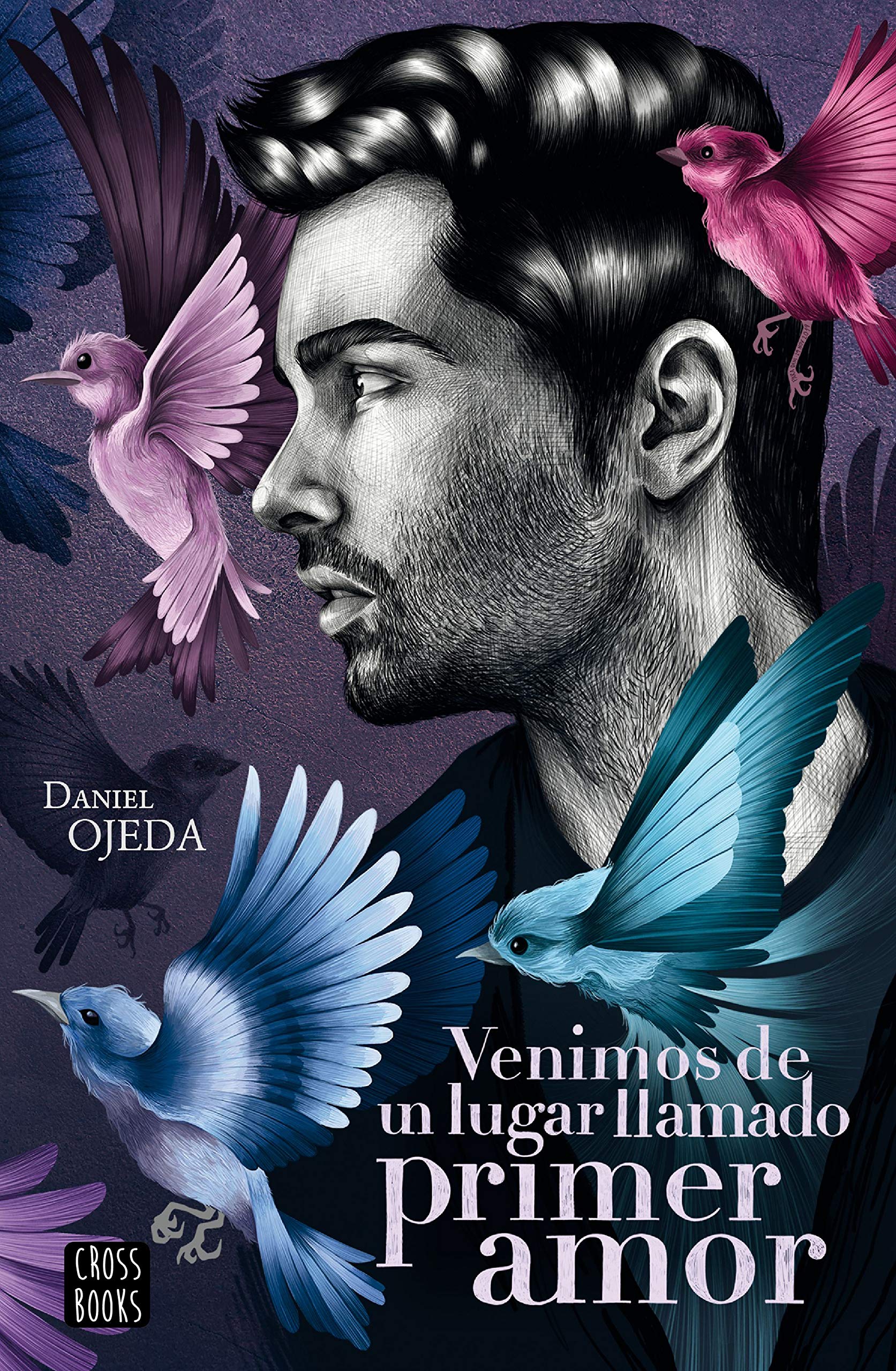 Venimos de un lugar llamado primer amor (Ficción) book