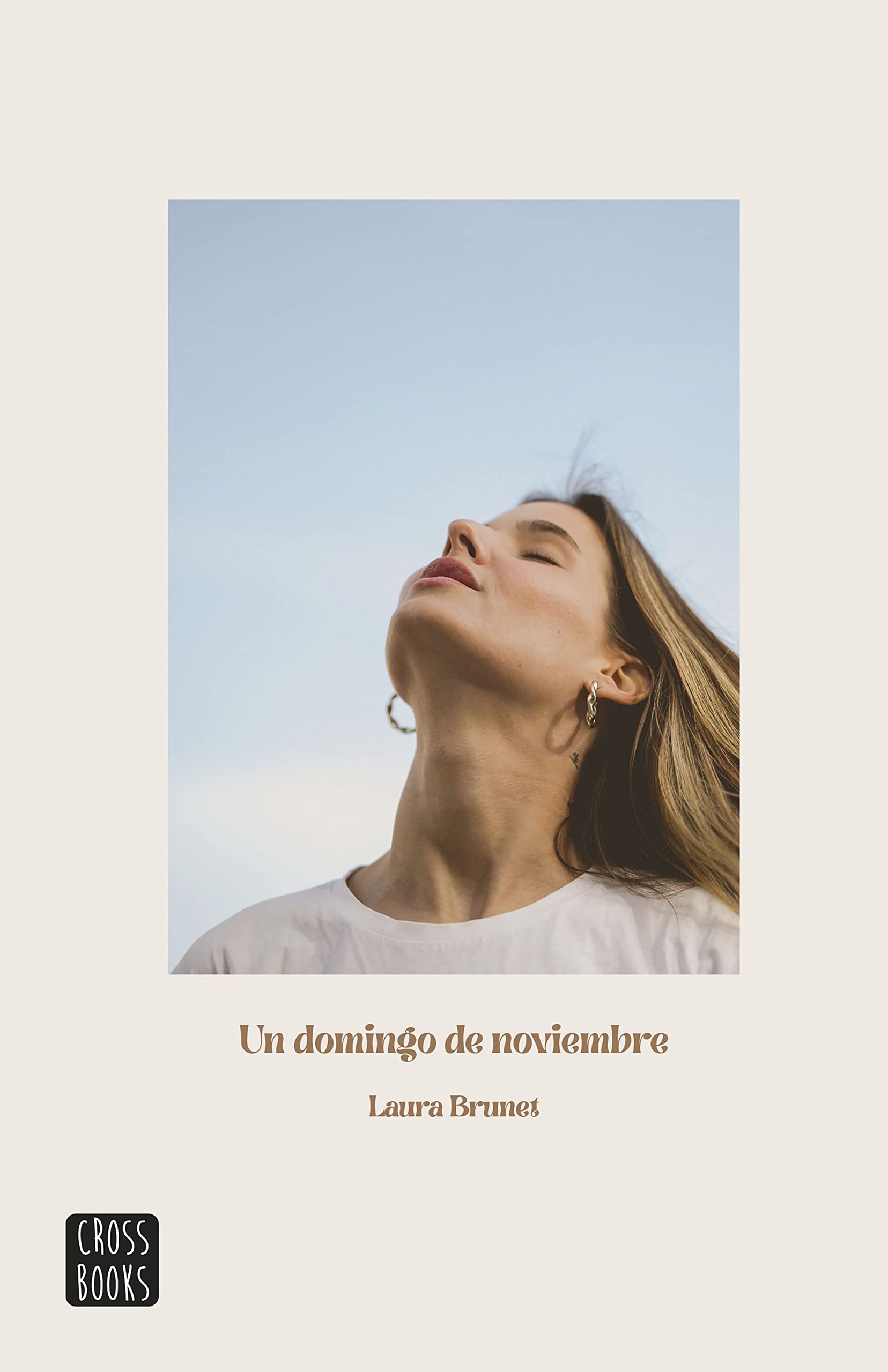 Un domingo de noviembre book