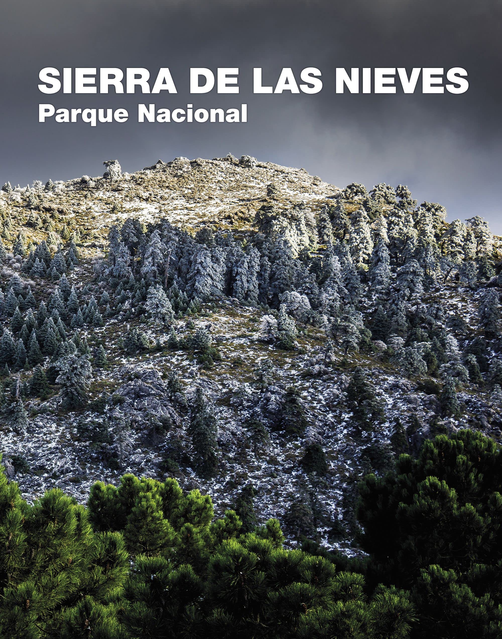 Sierra de las Nieves. Parque Nacional book