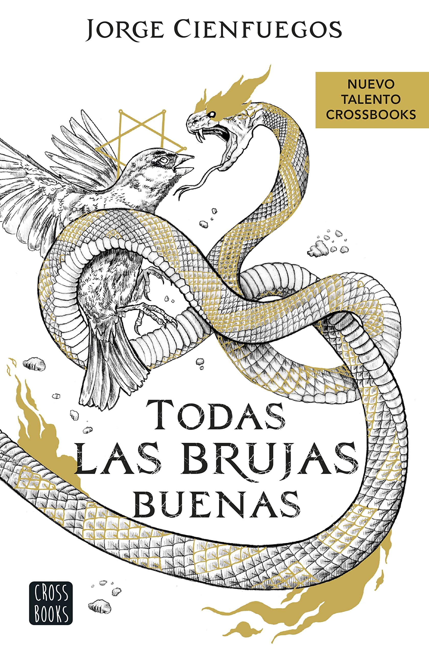 Todas las brujas buenas book