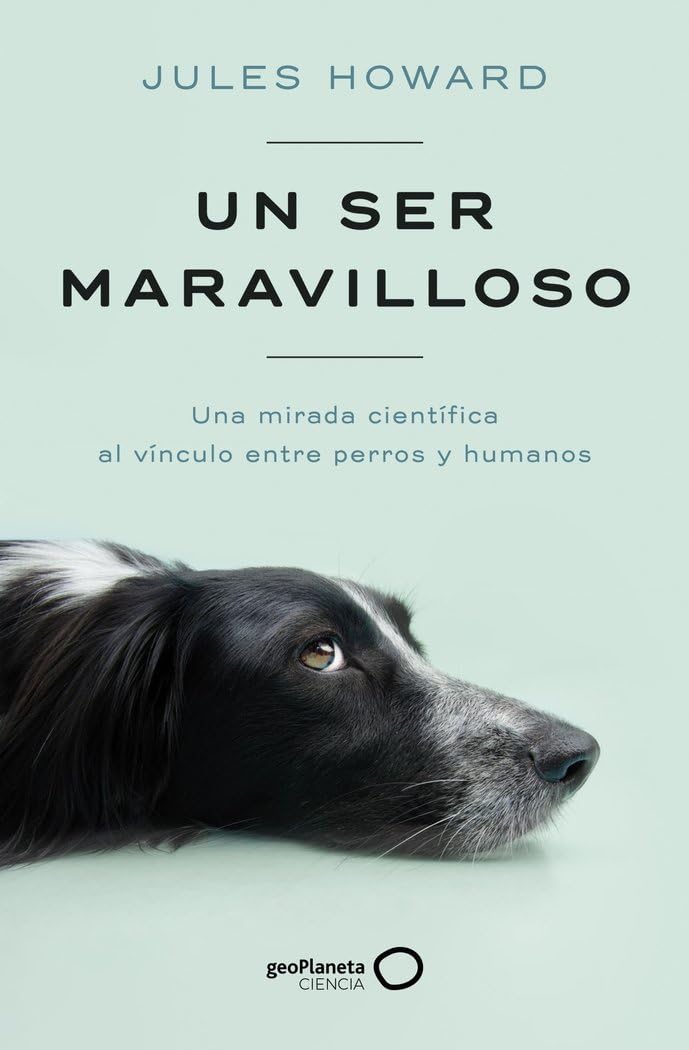 UN SER MARAVILLOSO book