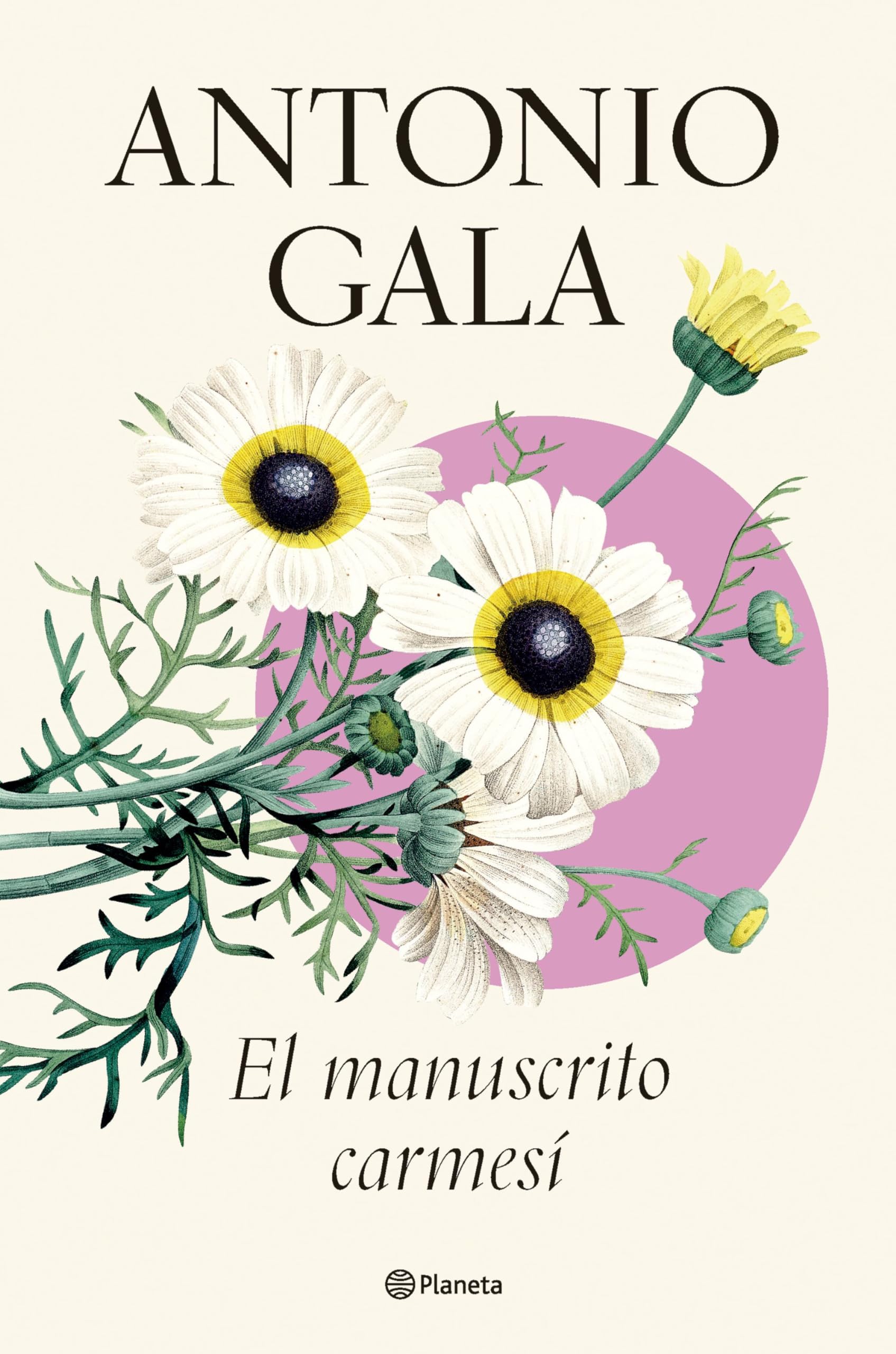 El manuscrito carmesí (Autores Españoles e Iberoamericanos) Contemporary literature