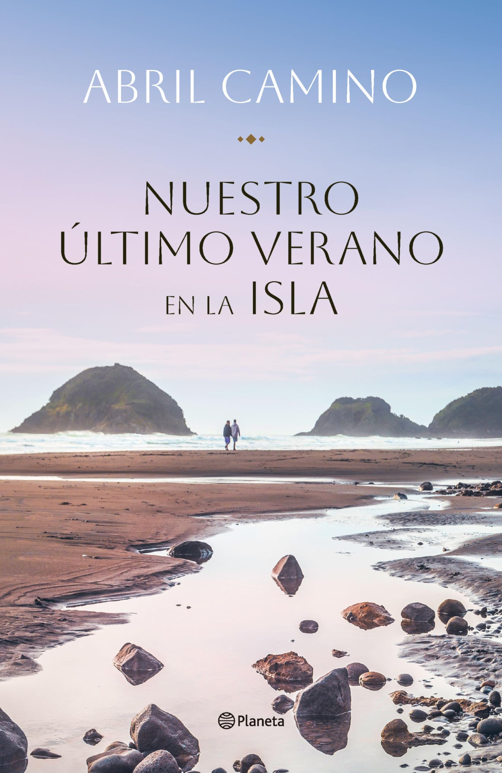 Nuestro último verano en la isla Contemporary literature