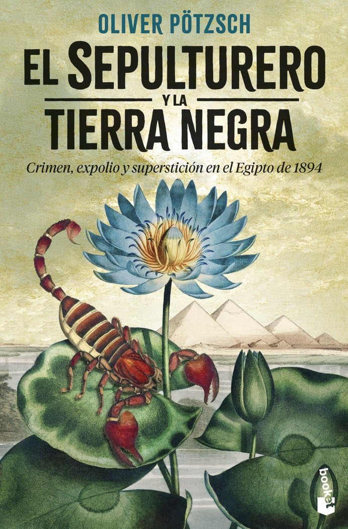El sepulturero y la Tierra Negra: Serie El sepulturero, 2 (Crimen y misterio, Band 2) Contemporary literature