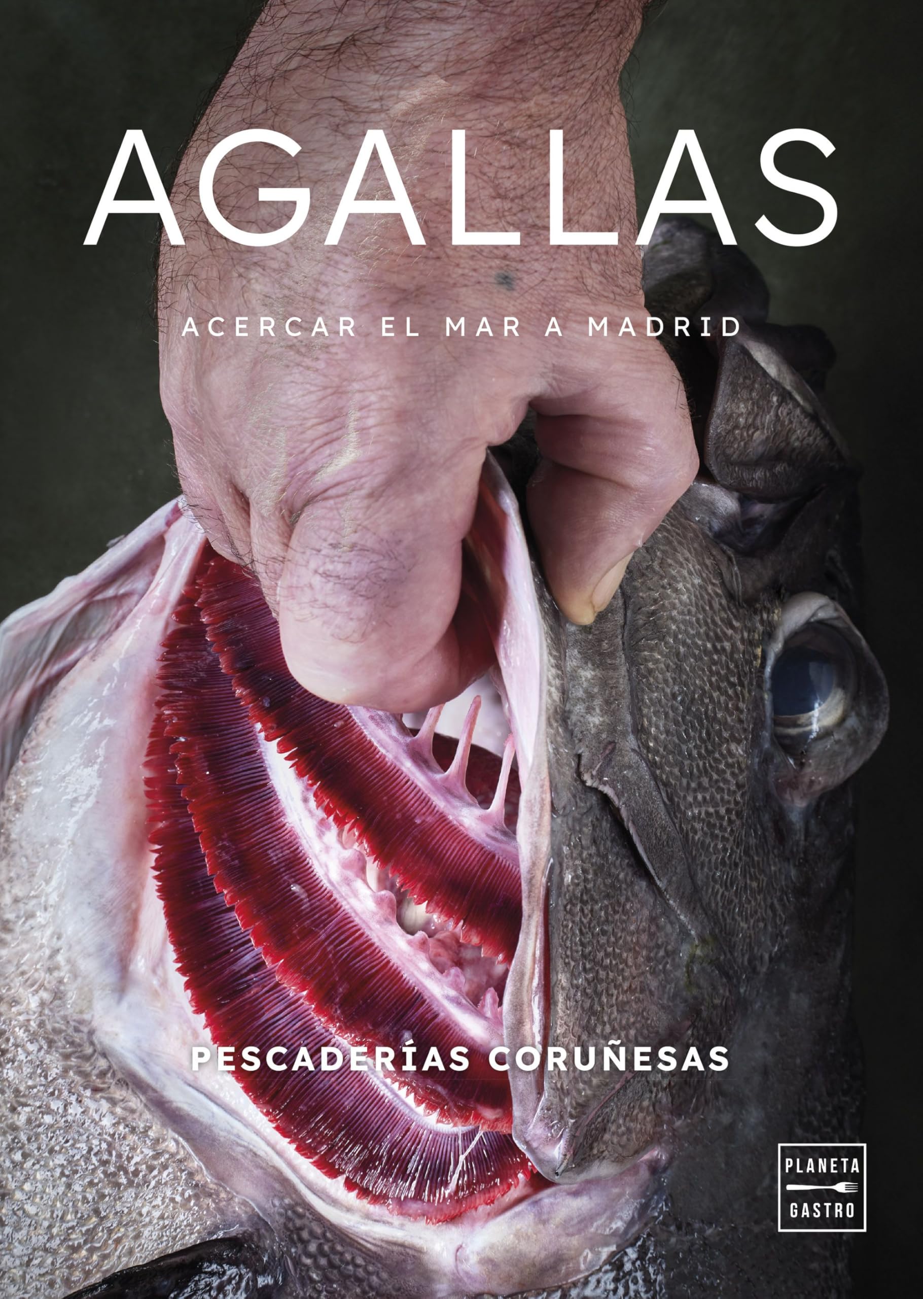 Agallas (Cocina Temática) Leisure, Home & Garden