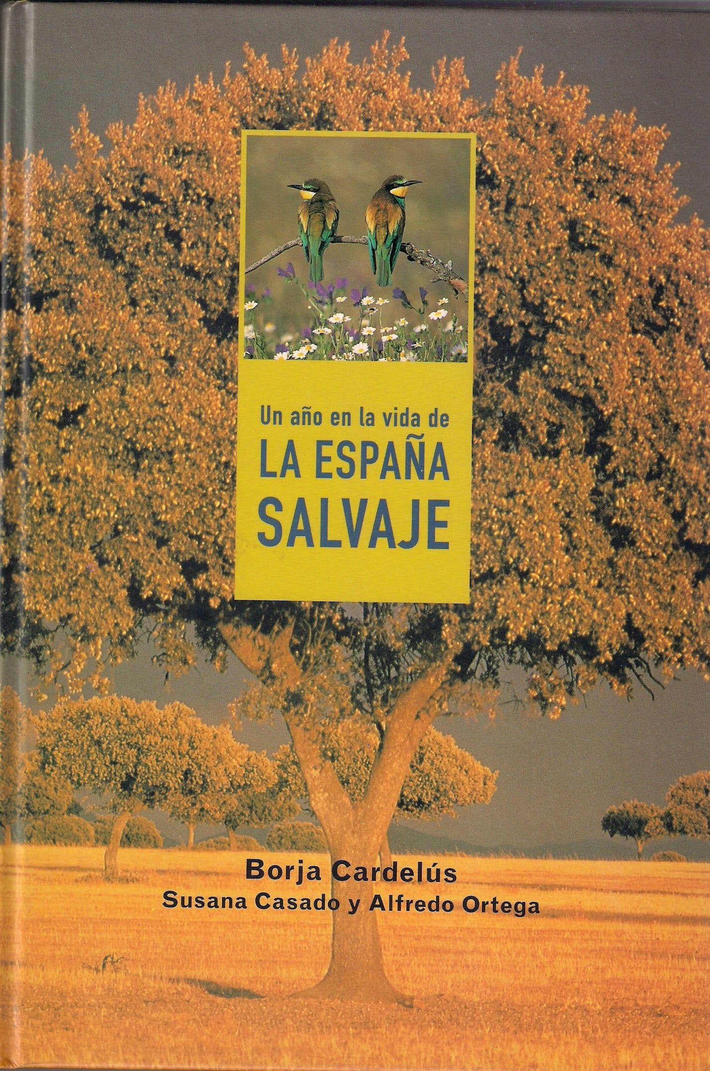 UN AÑO EN LA VIDA DE LA ESPAÑA SALVAJE Books