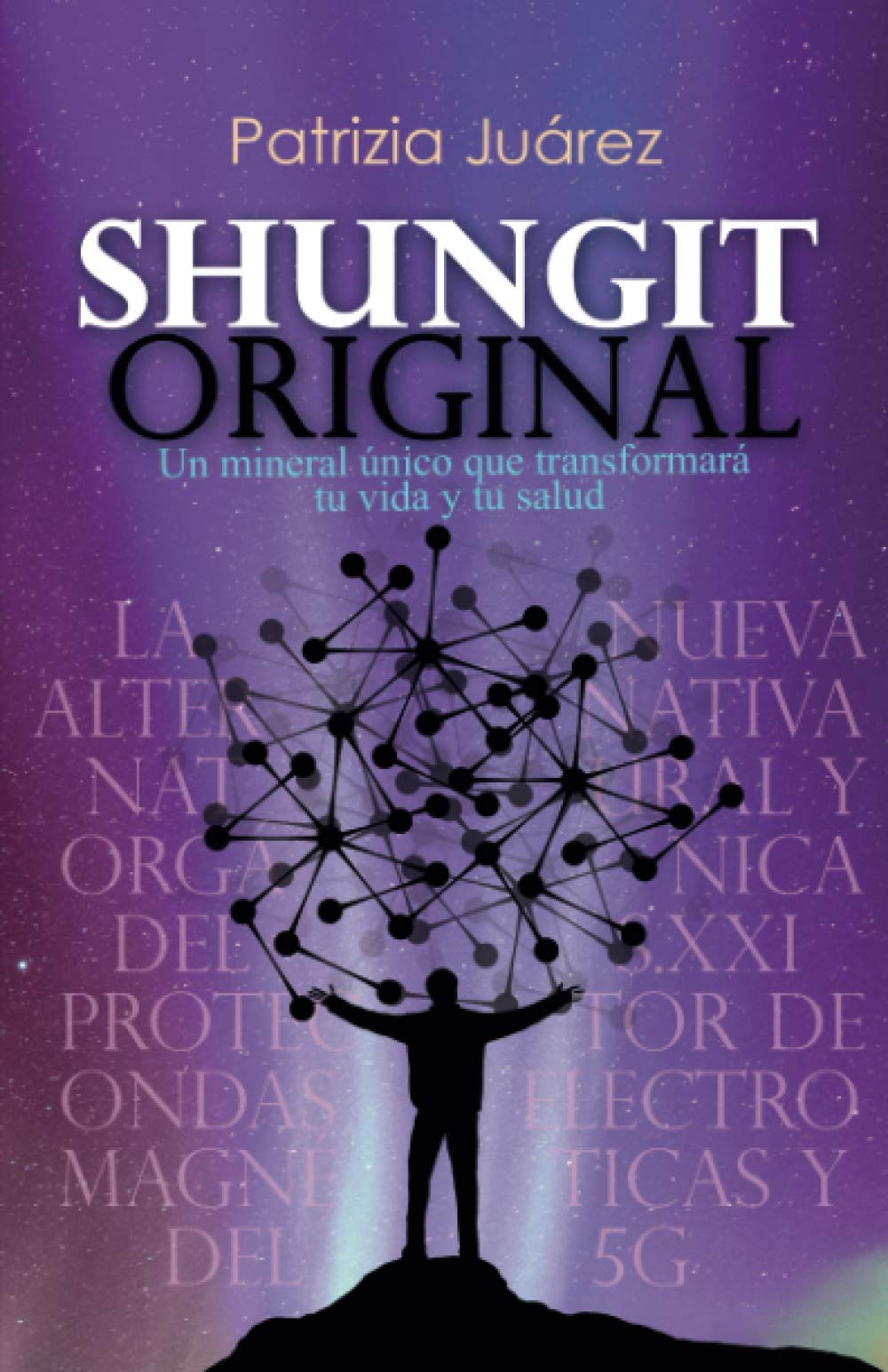 Shungit original: Un mineral único que transformará tu vida y tu salud Self-help