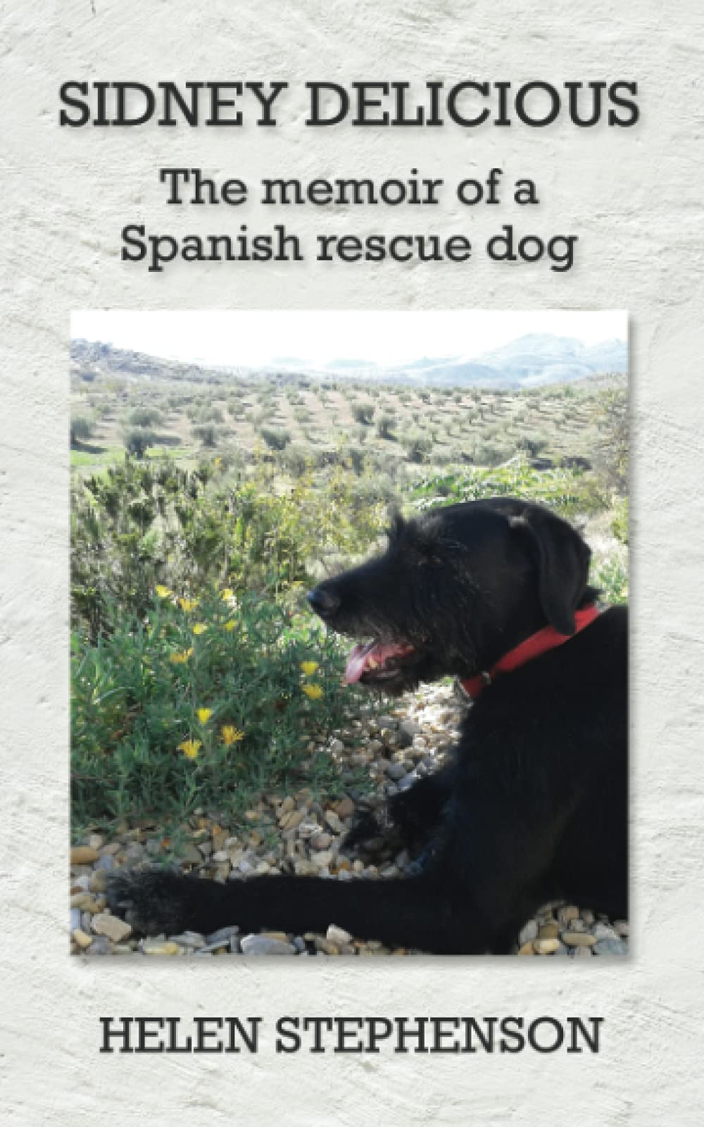 SIDNEY DELICIOUS: The memoir of a Spanish rescue dog Memories