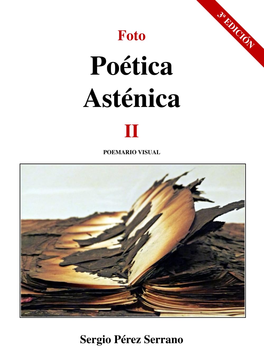 FotoPoética Asténica II: Poemario Visual Poetry