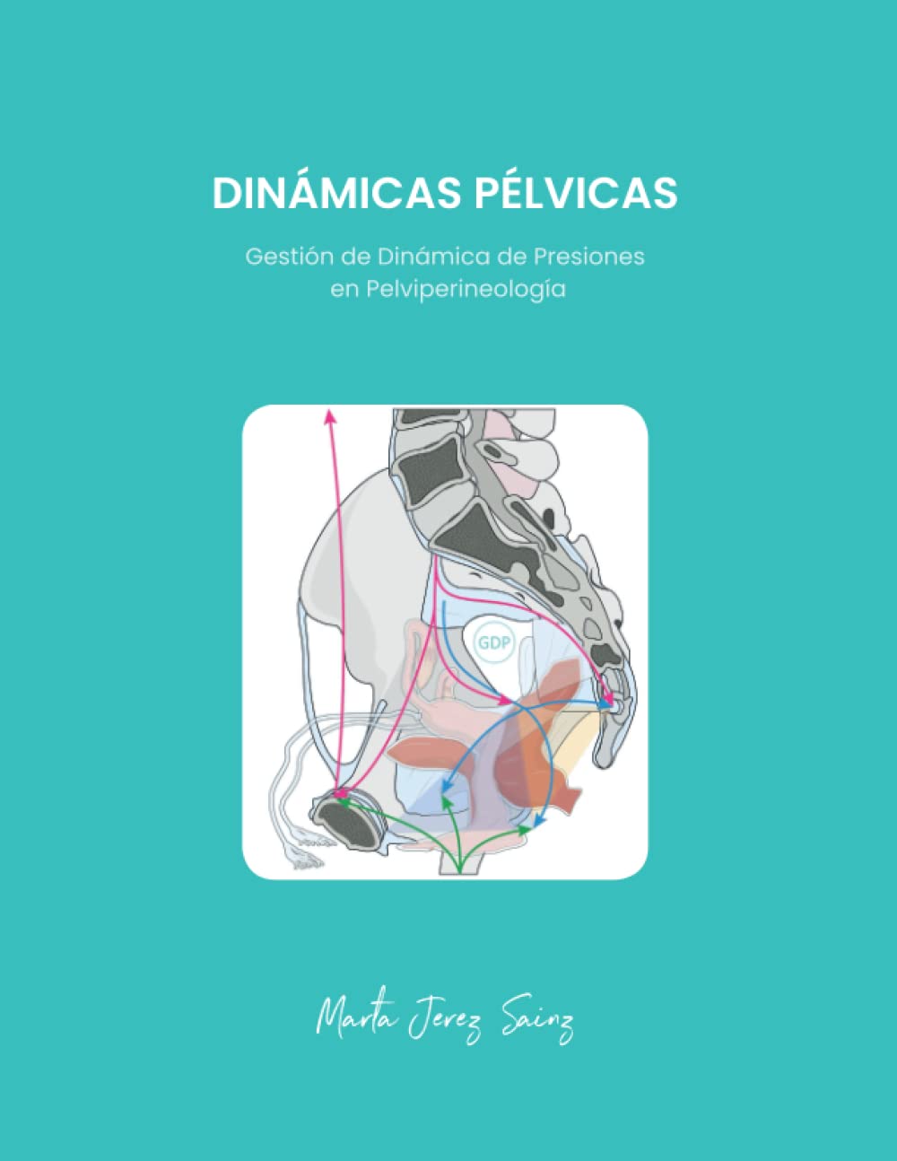 Dinámicas Pélvicas: Gestión de dinámica de presiones en pelviperineología Medicine