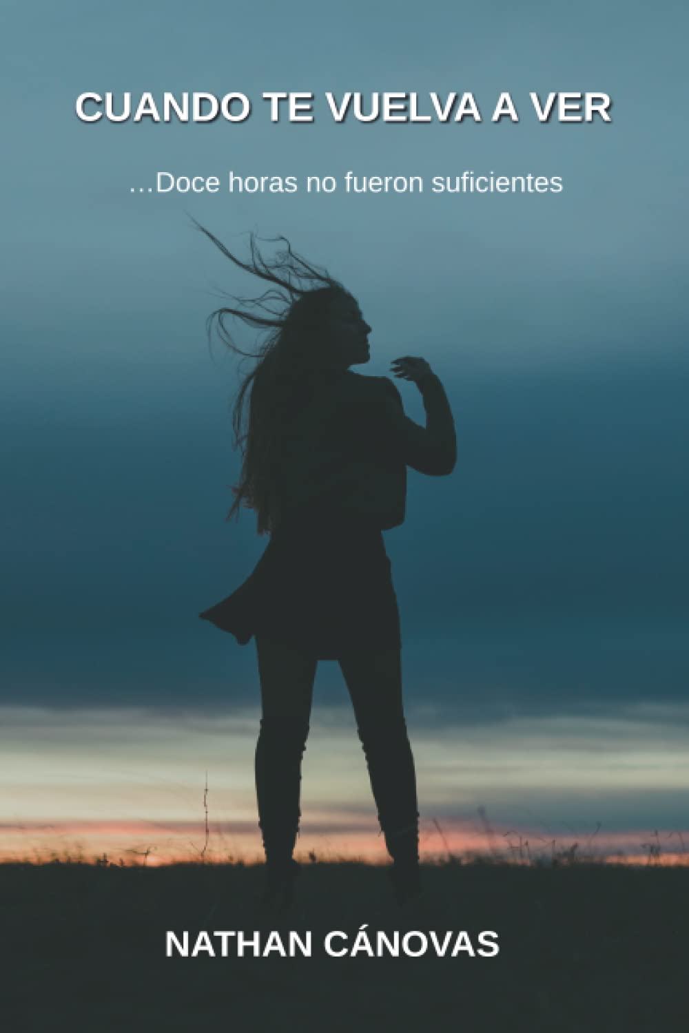 Cuando te vuelva a ver: ...Doce horas no fueron suficientes Contemporary literature