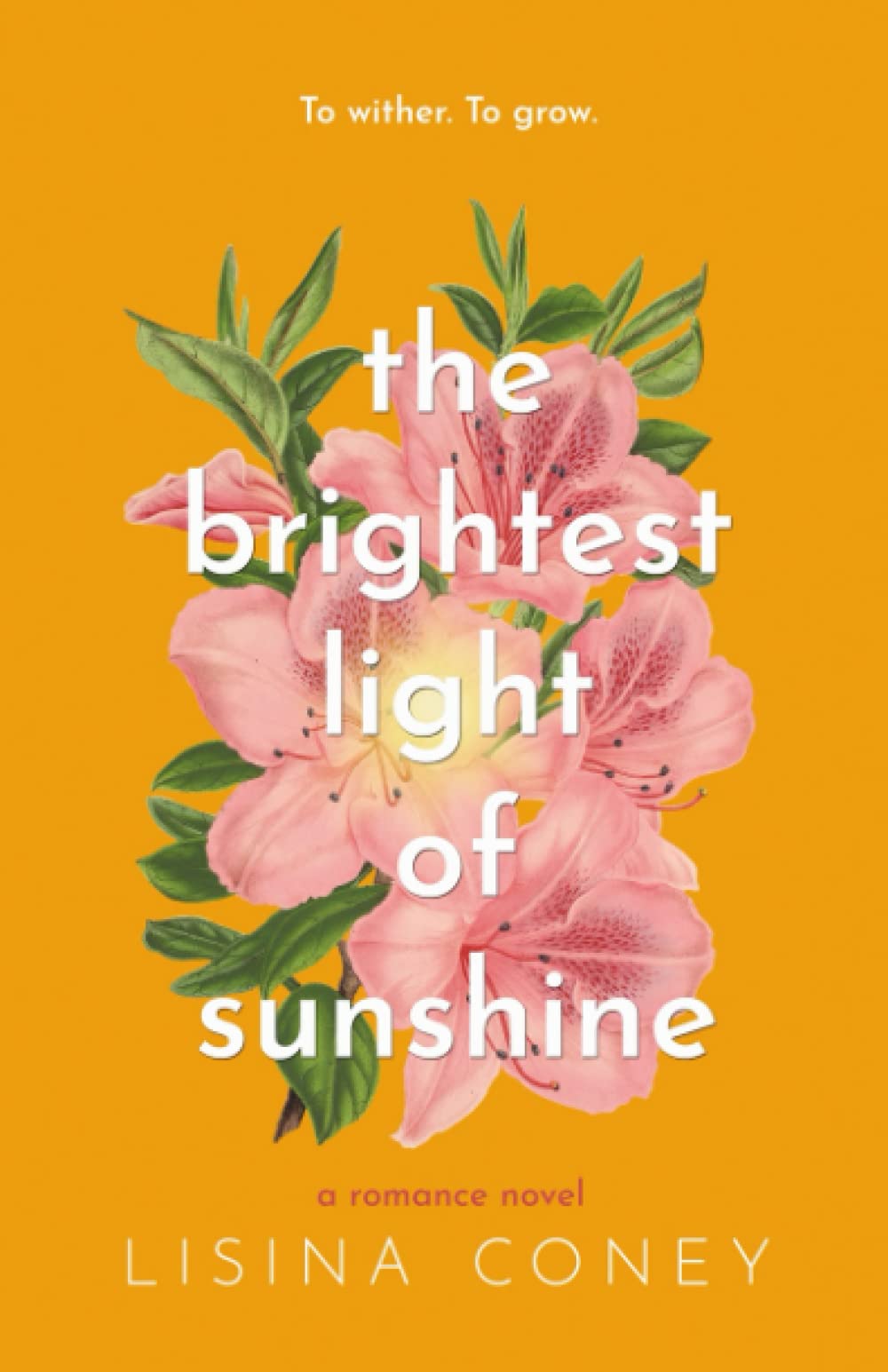 The Brightest Light of Sunshine Contemporary literature