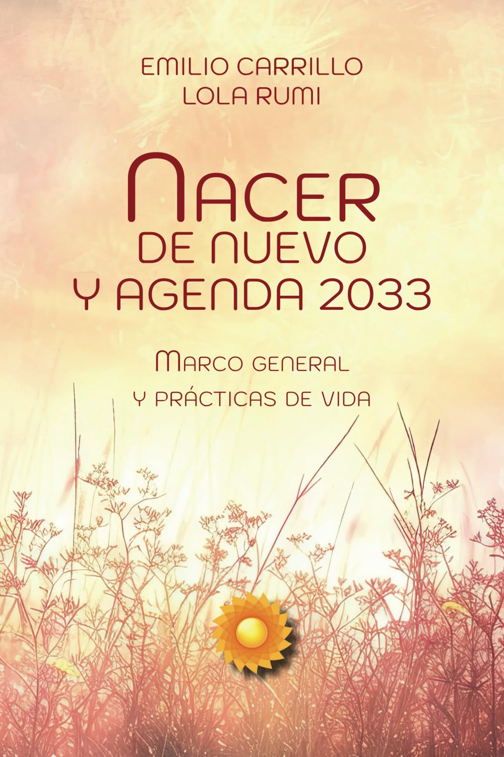 Nacer de nuevo y Agenda 2033: Marco General y Prácticas de Vida (LOS CUADERNOS DE LA ACADEMIA DE LA CONSCIENCIA) Books