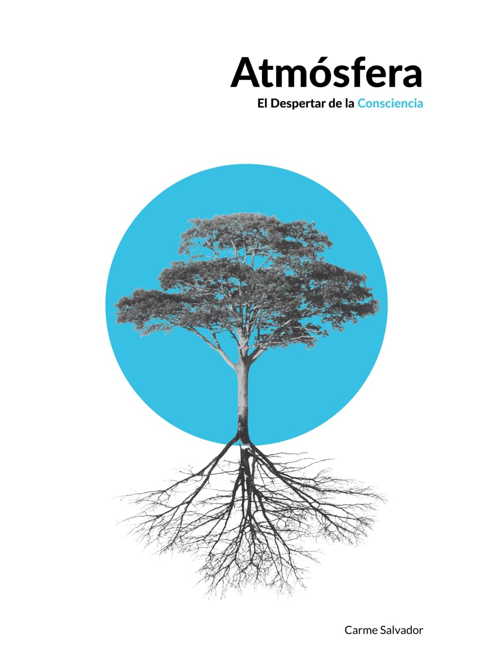 Atmósfera: El Despertar de la Consciencia (Los 9 hábitos del Alto Rendimiento Consciente y Sostenible, Band 4) Lifestyle