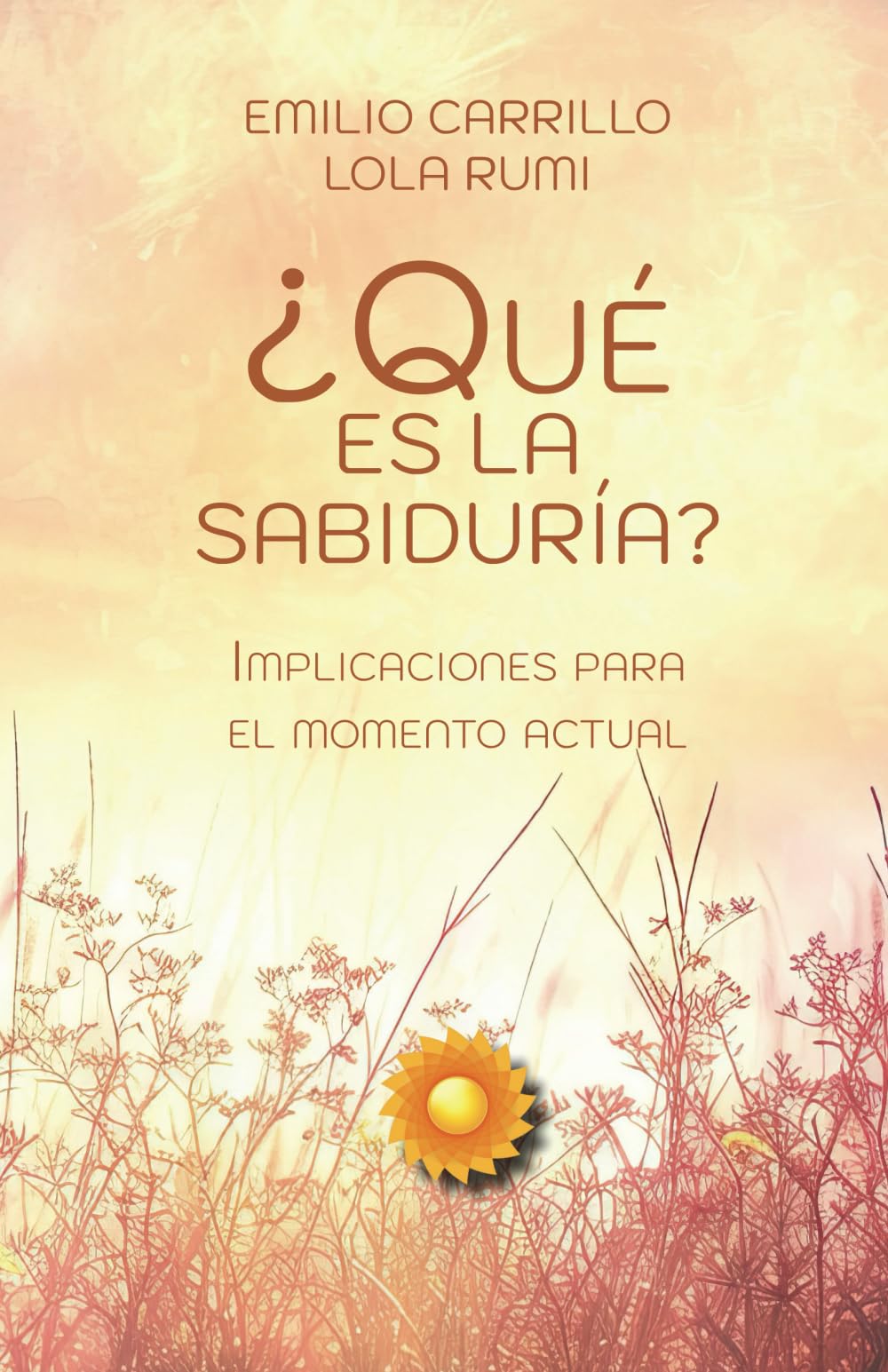 ¿Qué es la Sabiduría?: Implicaciones para el momento actual (LOS CUADERNOS DE LA ACADEMIA DE LA CONSCIENCIA) Books