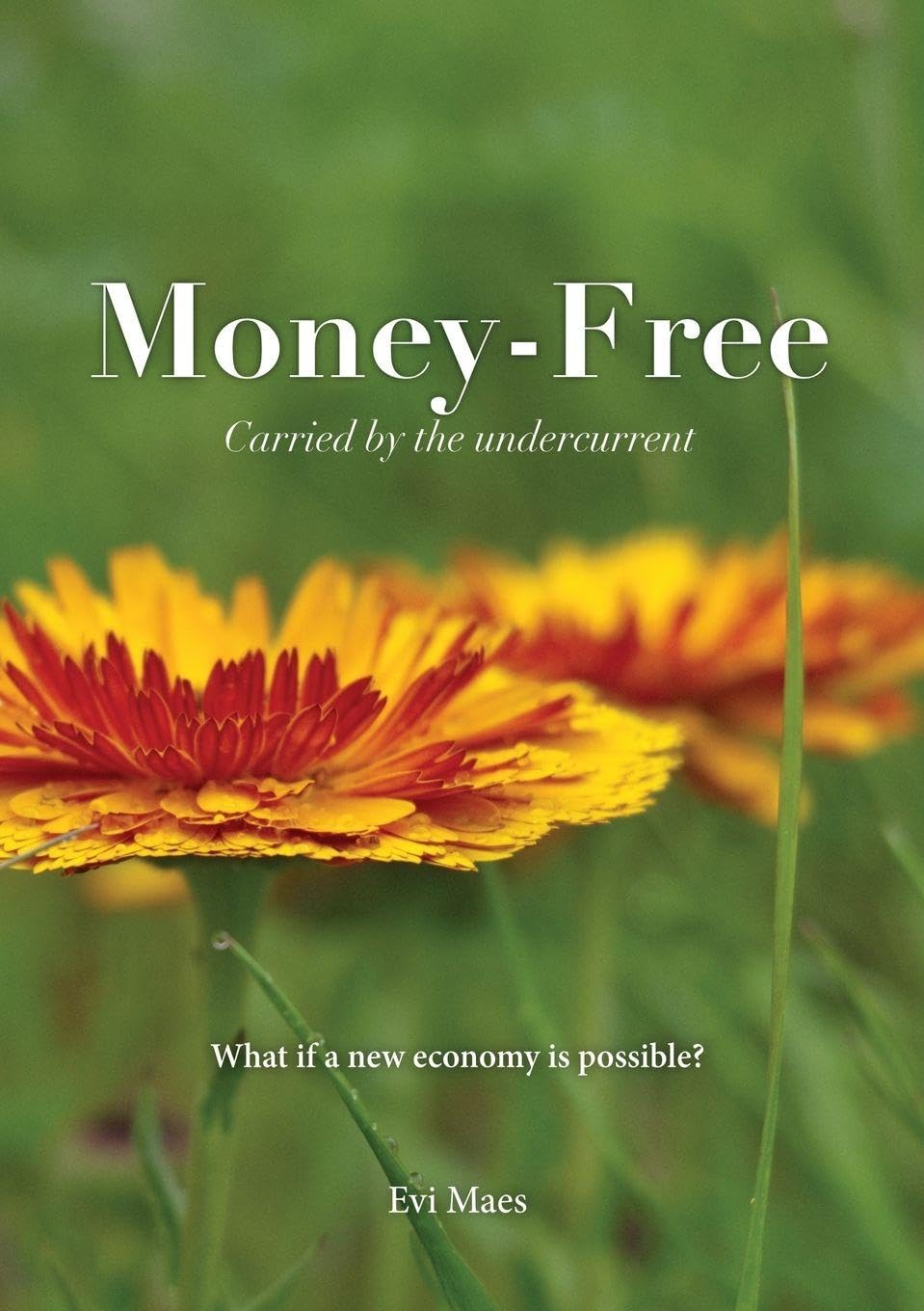 Money-Free Business, Finance & Career